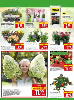 HERKULES Bau & Garten ab 06.07.2026 gültig | Seite: 2