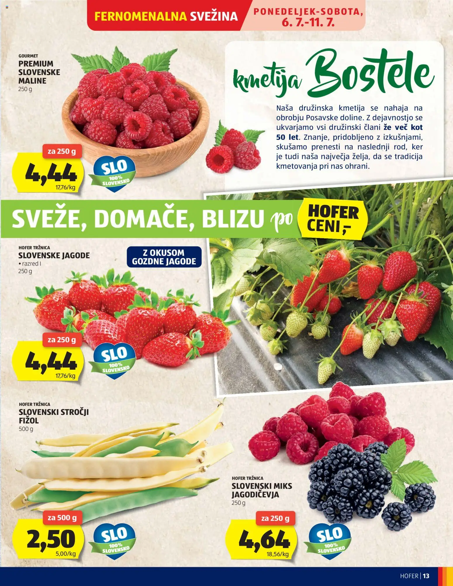 Hofer SI katalog | vrijedi od 01.07.2026 | Stranica: 13