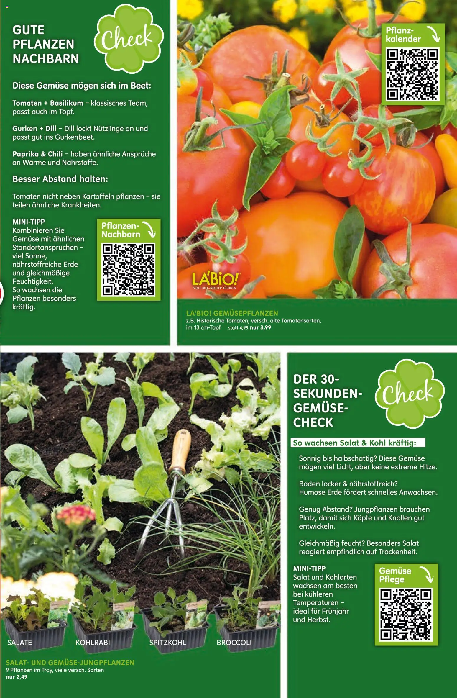 Blumen Risse Prospekt – gültig ab 28.05.2026 | Seite: 3 | Produkte: Tomaten, Kartoffeln, Chili, Gurken