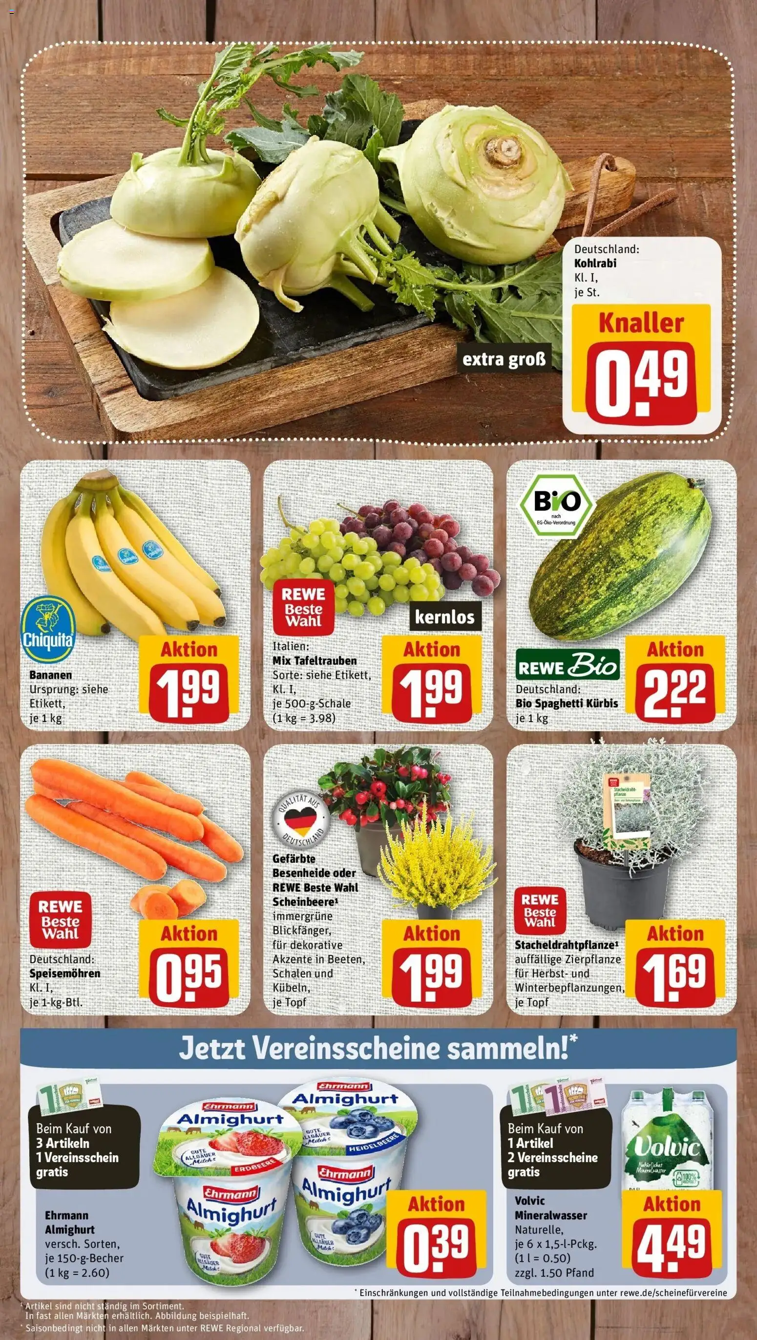 REWE Prospekt ab 14.09.2026 zum Blättern » Angebote | Seite: 3