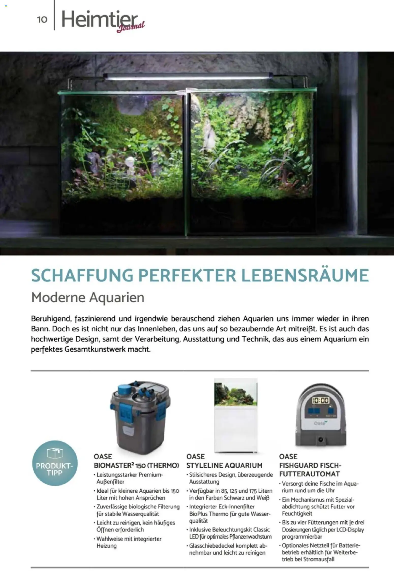 zookauf Heimtier Journal – gültig ab 01.10.2026 | Seite: 10 | Produkte: Fisch, Wasser, Netzteil, Uhr