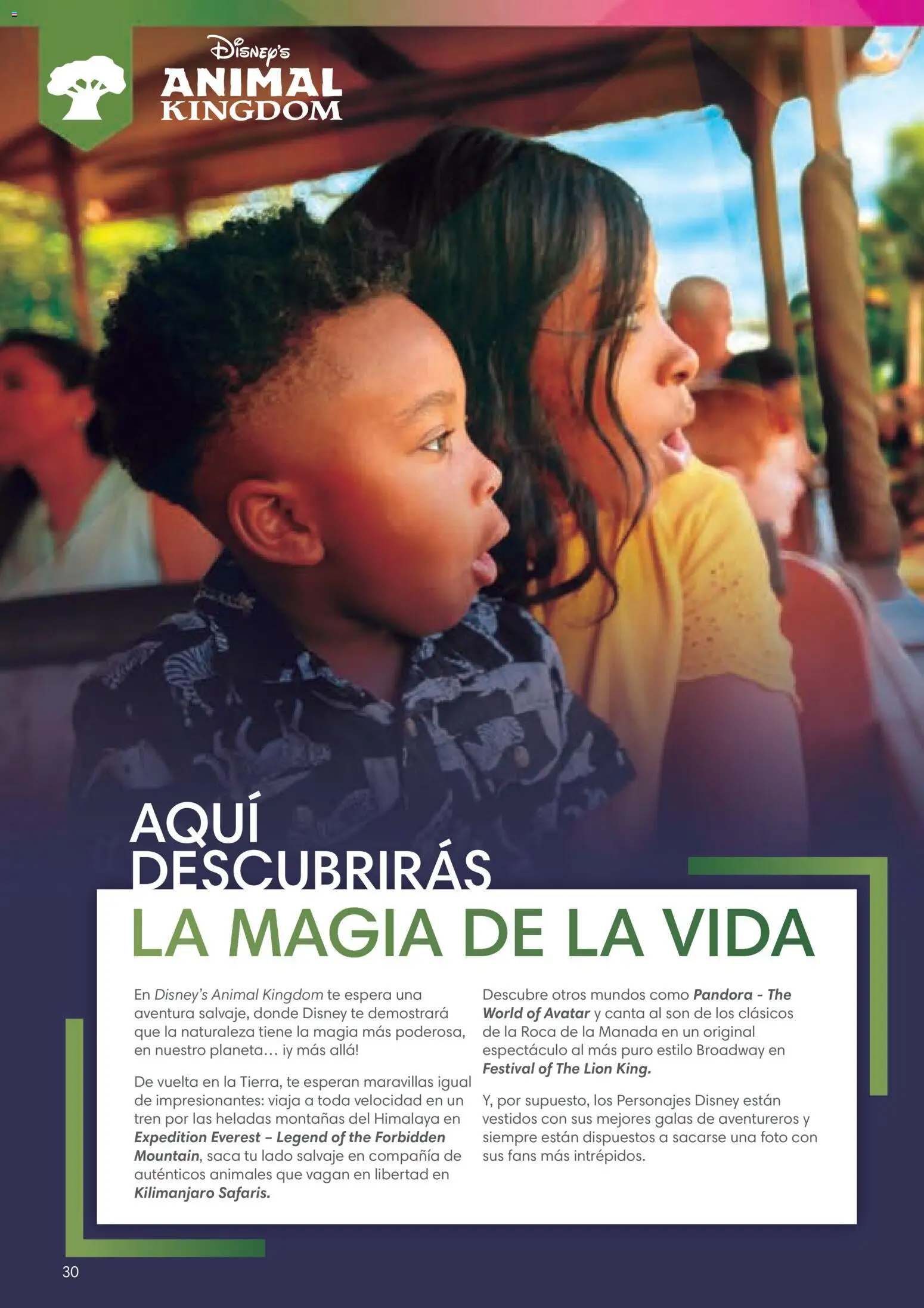 Viajes El Corte Inglés Folleto Walt Disney World │ válido desde el 03/12/2025 | Página: 30 | Productos: Té