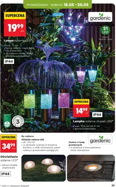Pogląd oferty "Lampa solarna LED*, wys.: 70 cm, barwa światła: ciepła biała lub zimna biała, do wyboru: kwiaty, zboża lub trawa pampasowa" - ważna od 16.05.2026 | Strona: 25 | Produkty: Lampa solarna, Lampa, Trawa pampasowa