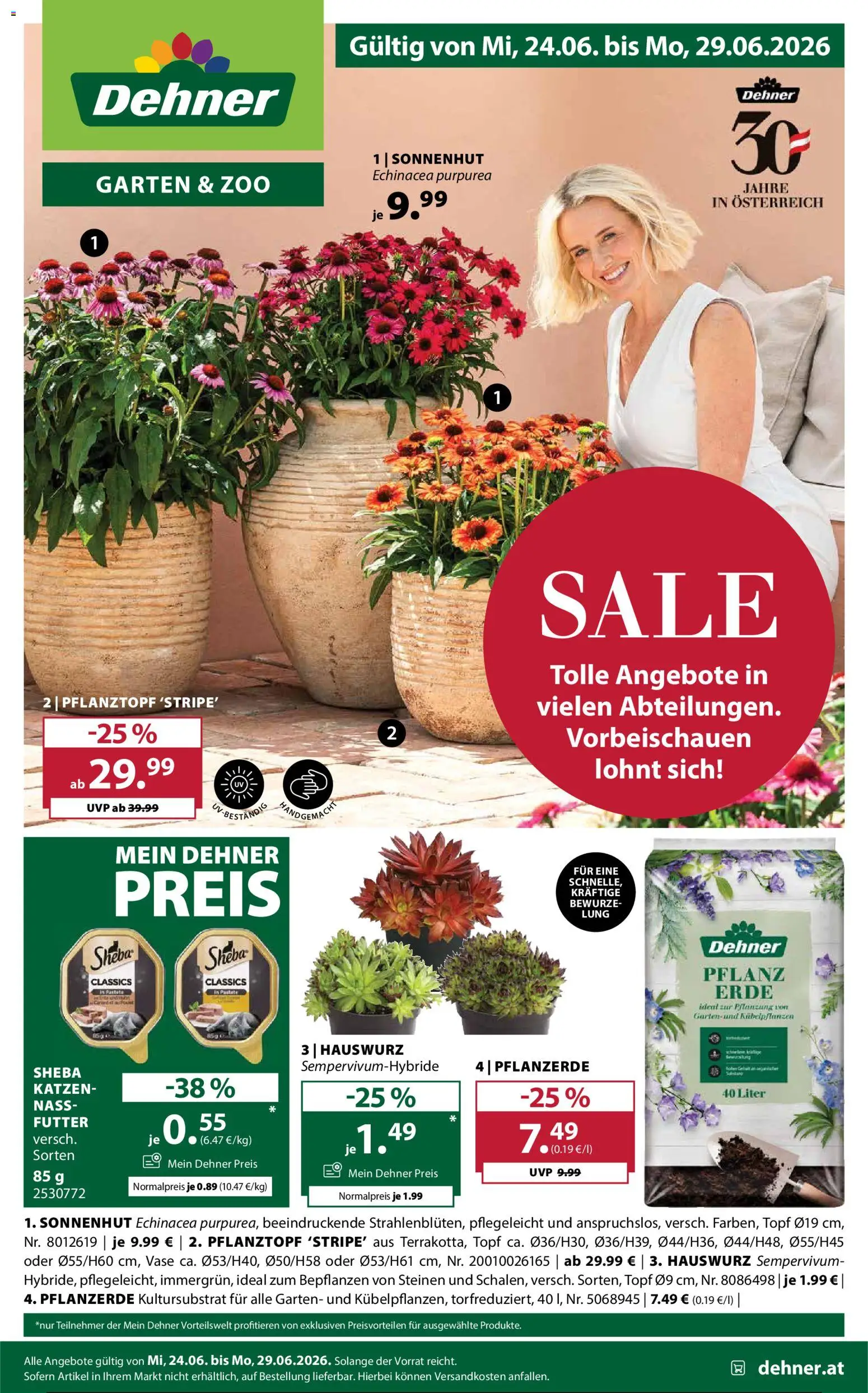 Dehner Flugblatt gültig ab 24.06.2026 | Seite: 1 | Produkte: Vase