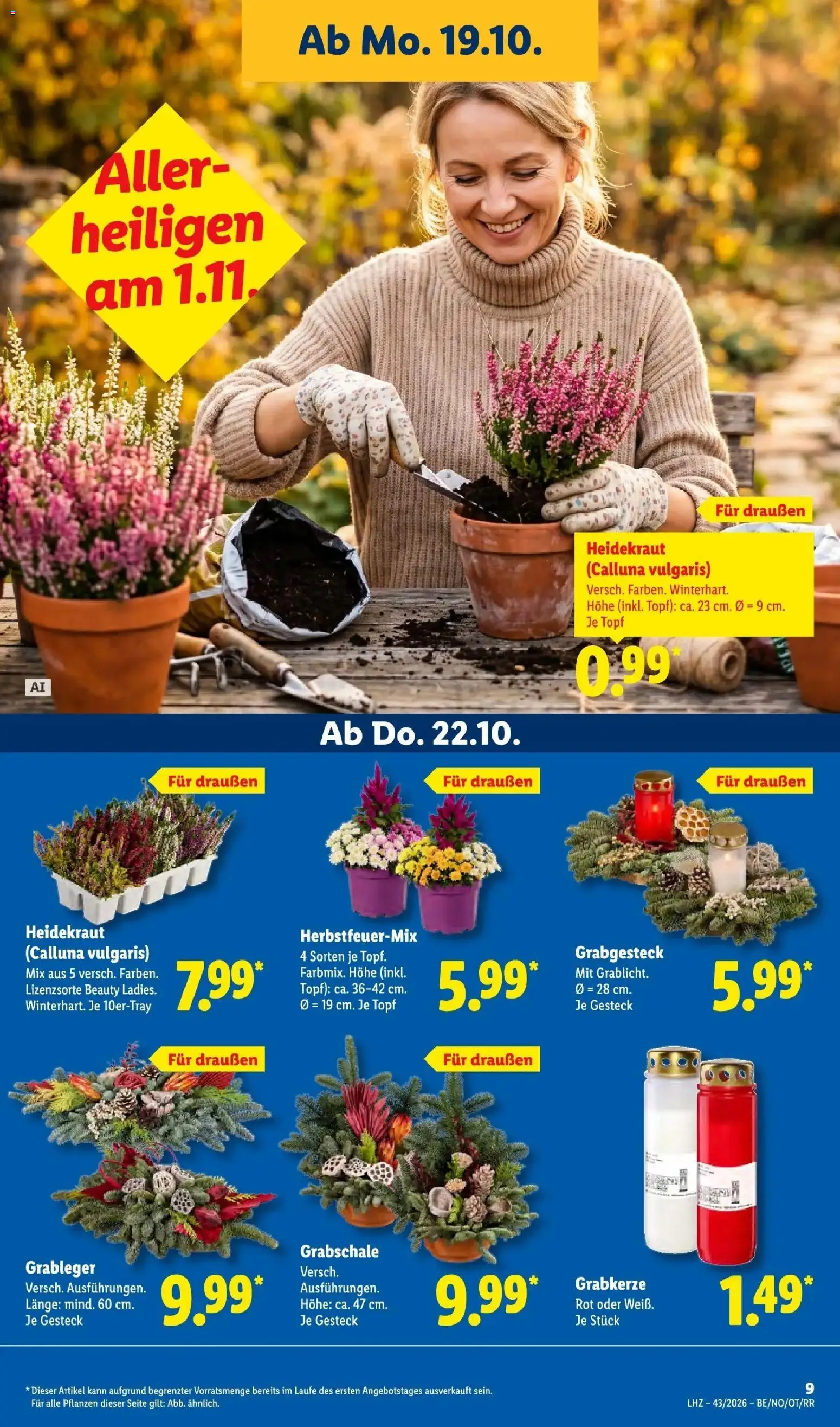 Lidl Prospekt Grimma (ab 19.10.2026) zum Blättern » Angebote | Seite: 17