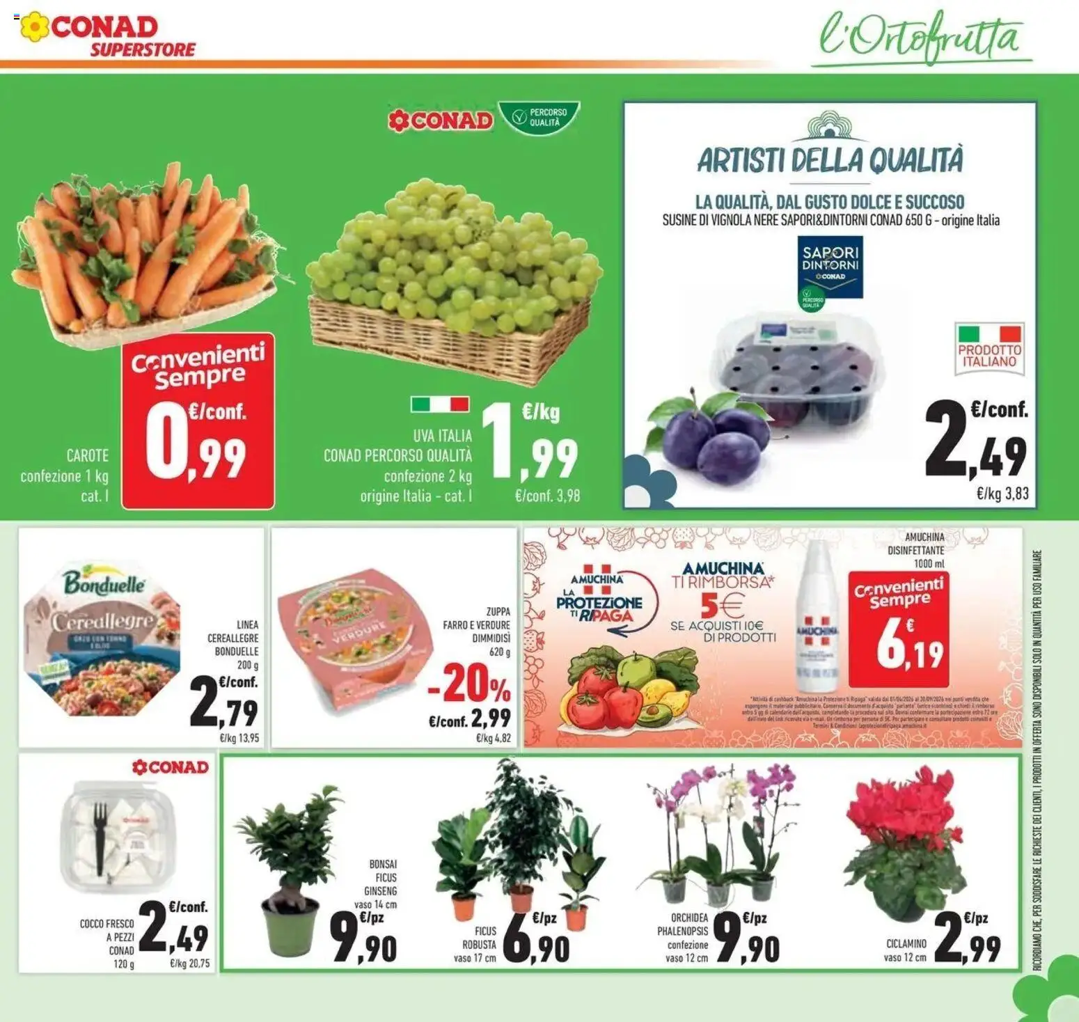 Volantino Conad dal 09/09/2026 > Anteprima | Pagina: 27 | Prodotti: Carote, Uva, Cocco, Vaso
