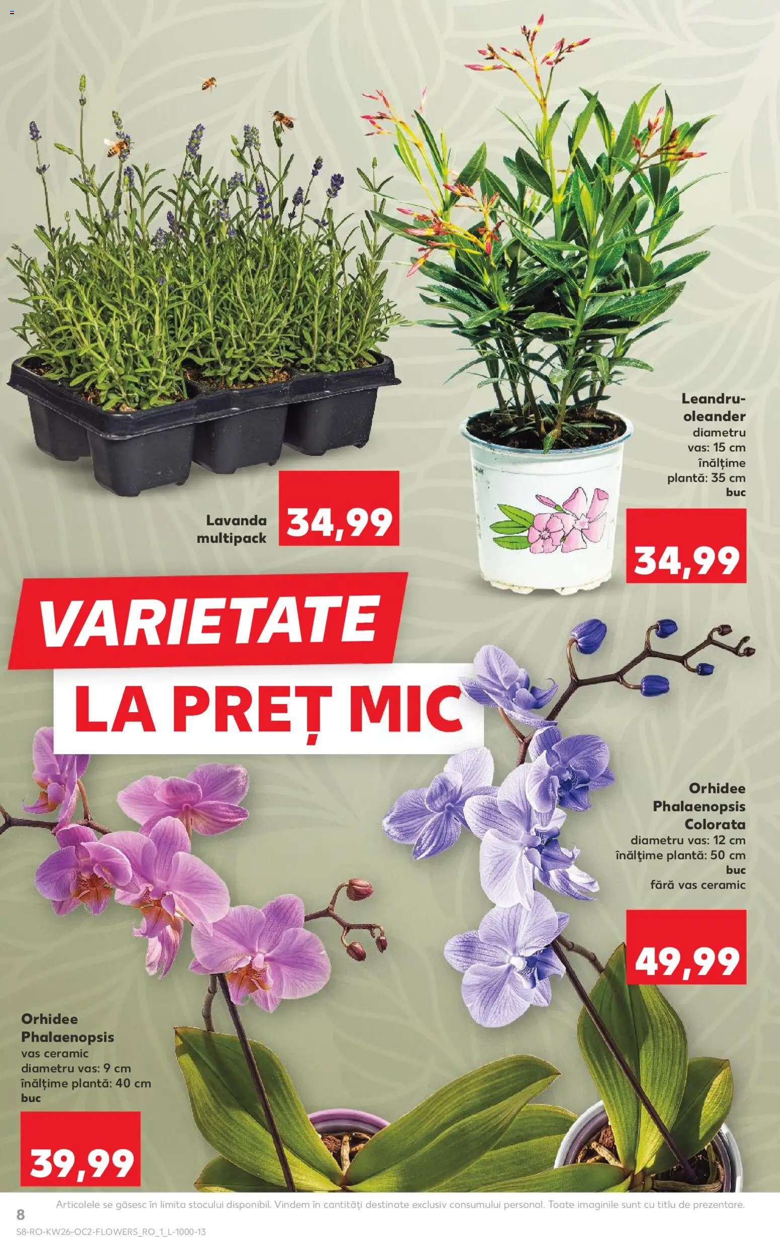 Noul catalog Kaufland – valabil de la 24.06.2026 | Pagină: 8
