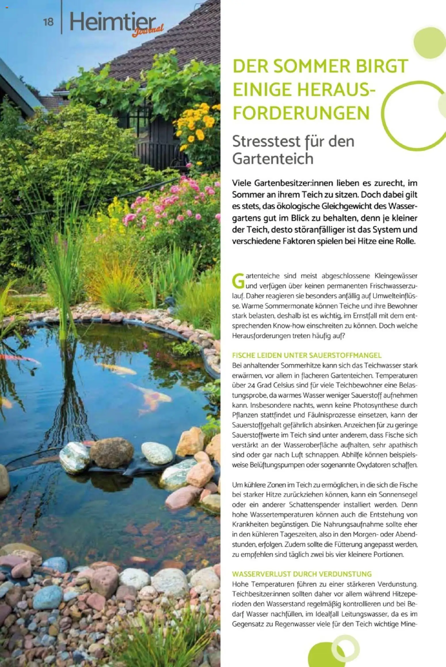 zookauf Heimtier Journal – gültig ab 01.07.2026 | Seite: 18 | Produkte: Wasser