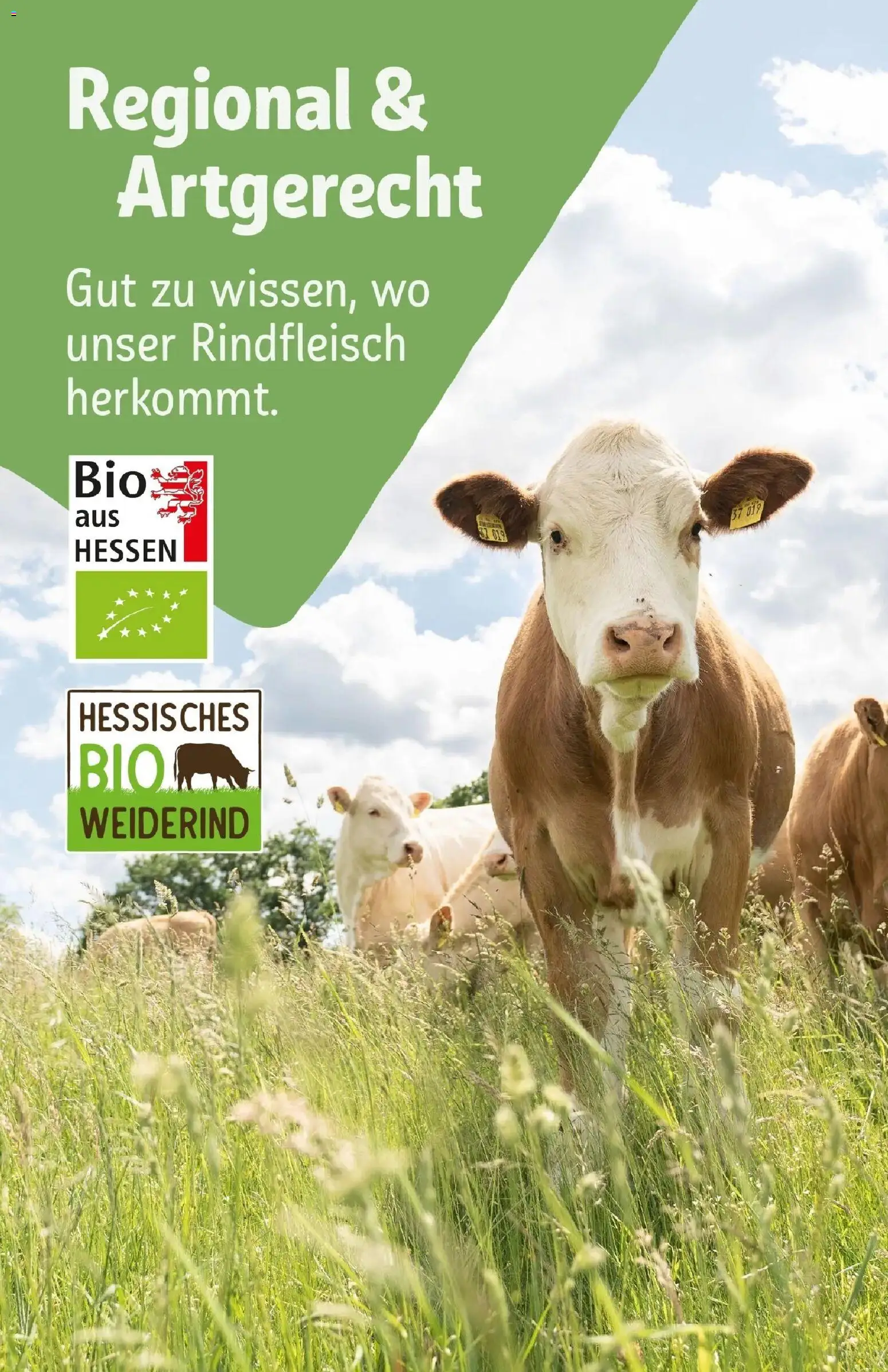 Rewe Prospekt Wiesbaden / Nordost – gültig ab 17.05.2026 | Seite: 32 | Produkte: Rindfleisch