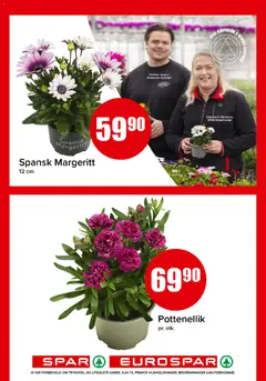 Forhåndsvisning av Spar kundeavis gyldig fra 01.06.2026 | Side: 14 | Produkter: Сушильные машины