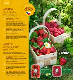 Náhled letáku Jahody, Jahody od 01.07.2026 | Strana: 16 | Produkty: Jahody, Maliny, Barvy