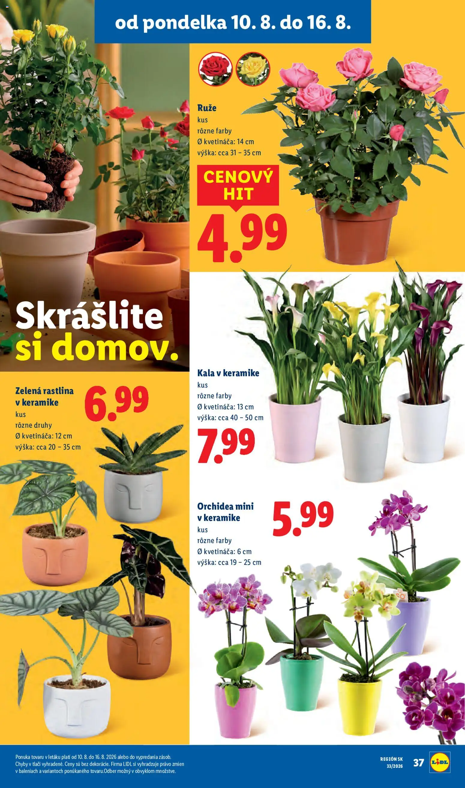 Nové Lidl akcie – leták je platný od 10.08.2026 | Strana: 61