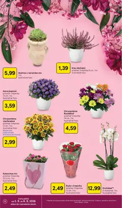 Tesco leták platný od 02.09.2026 | Strana: 16