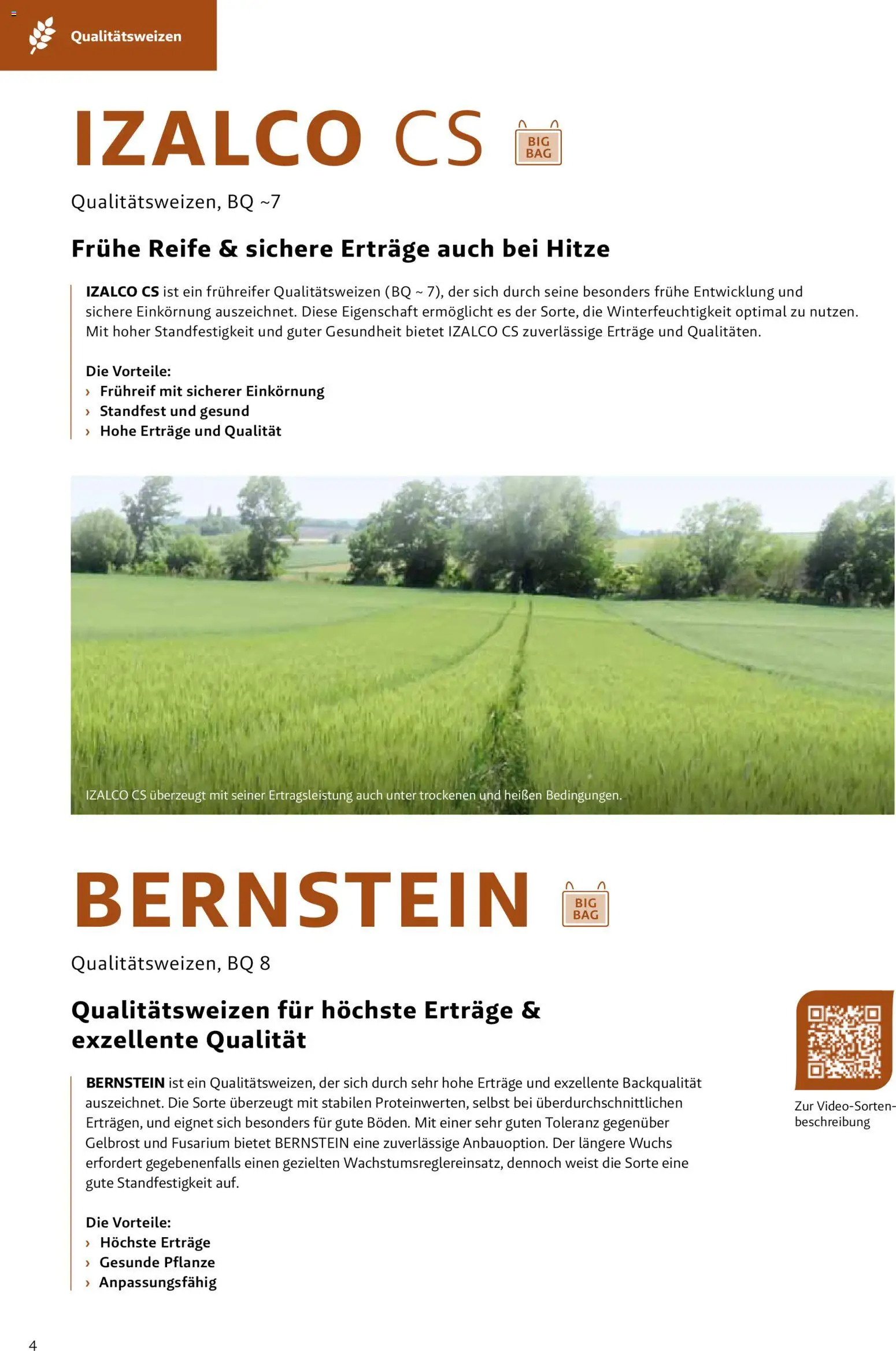 Lagerhaus Fachblatt Saatgut Herbst gültig ab 22.07.2026 | Seite: 4