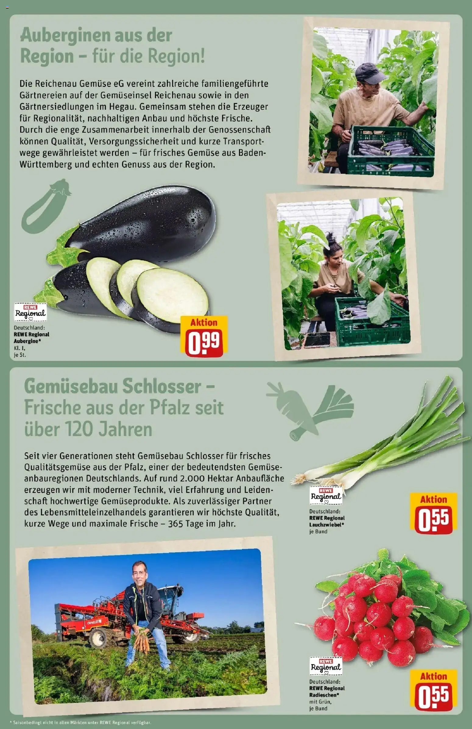 REWE Prospekt ab 17.08.2026 zum Blättern » Angebote | Seite: 11 | Produkte: Gemüse