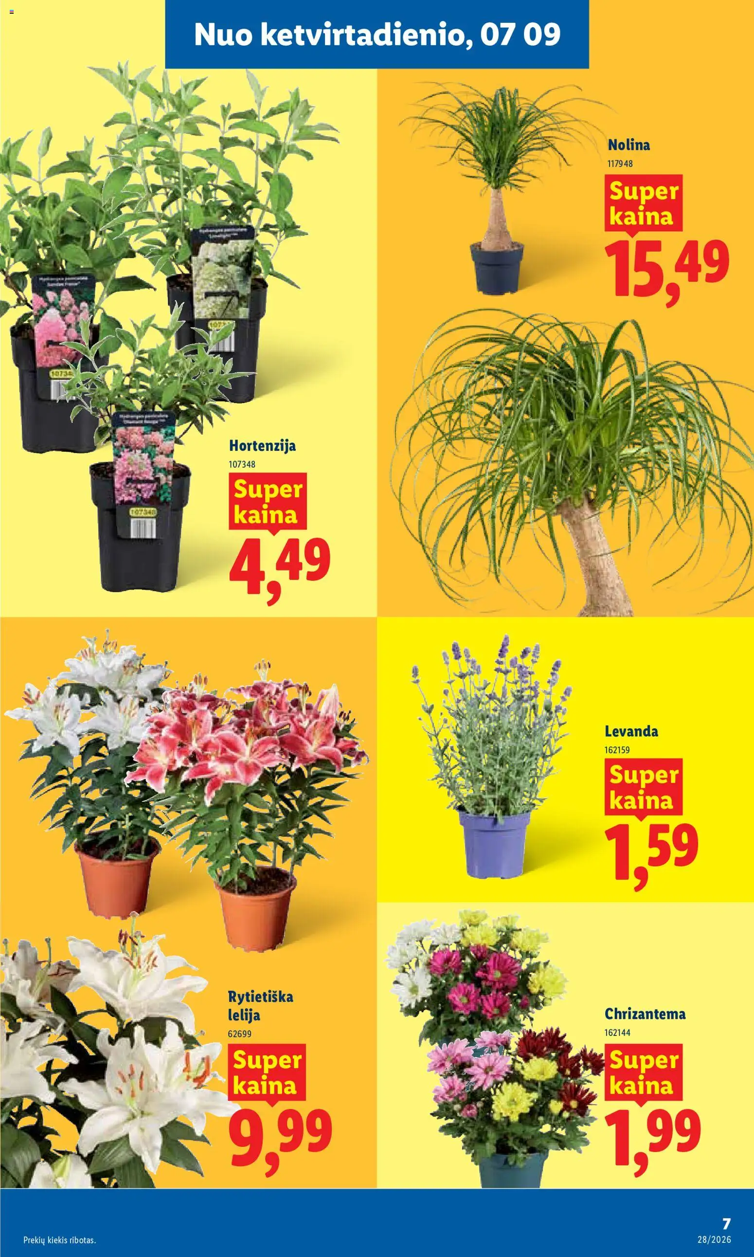 LIDL akcijos nuo 2026.07.06 | Puslapis: 7