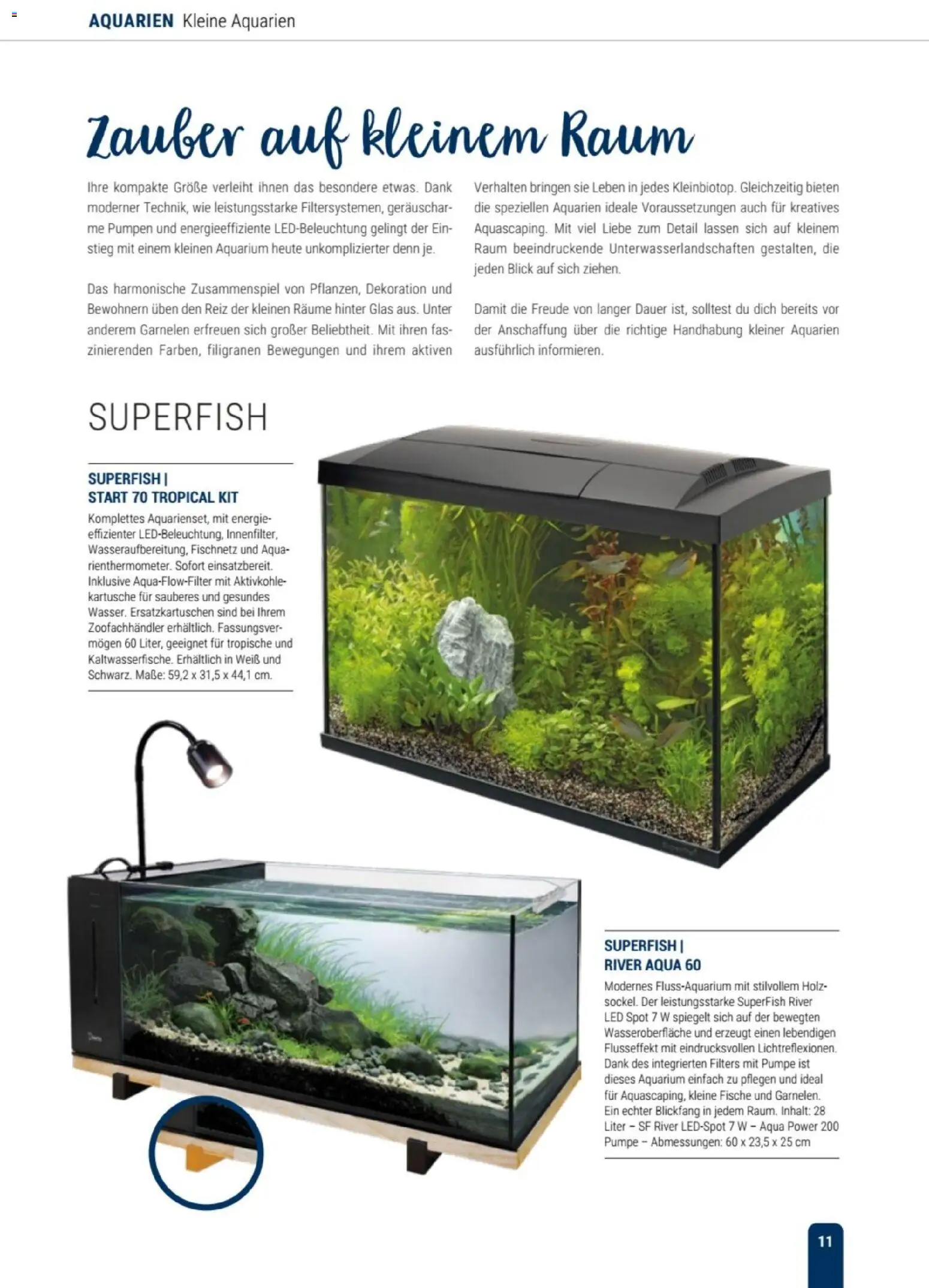 zookauf Themenkatalog Aqua – gültig ab 01.10.2026 | Seite: 11 | Produkte: Garnelen