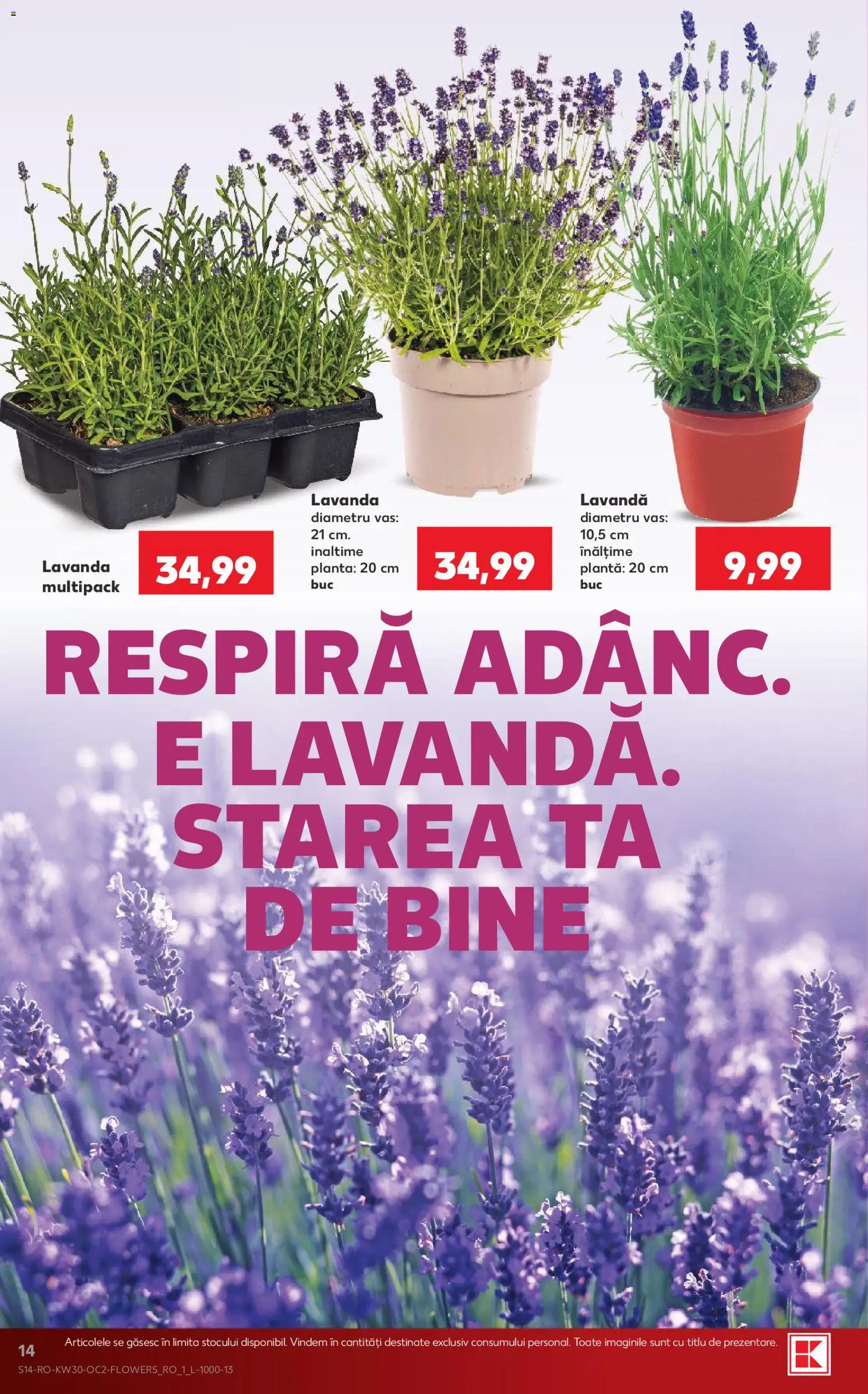 Kaufland RO akciós ujság - amely érvényes a következő dátumtól: 2026.07.22. | Oldal: 14 | Termékek: Vas