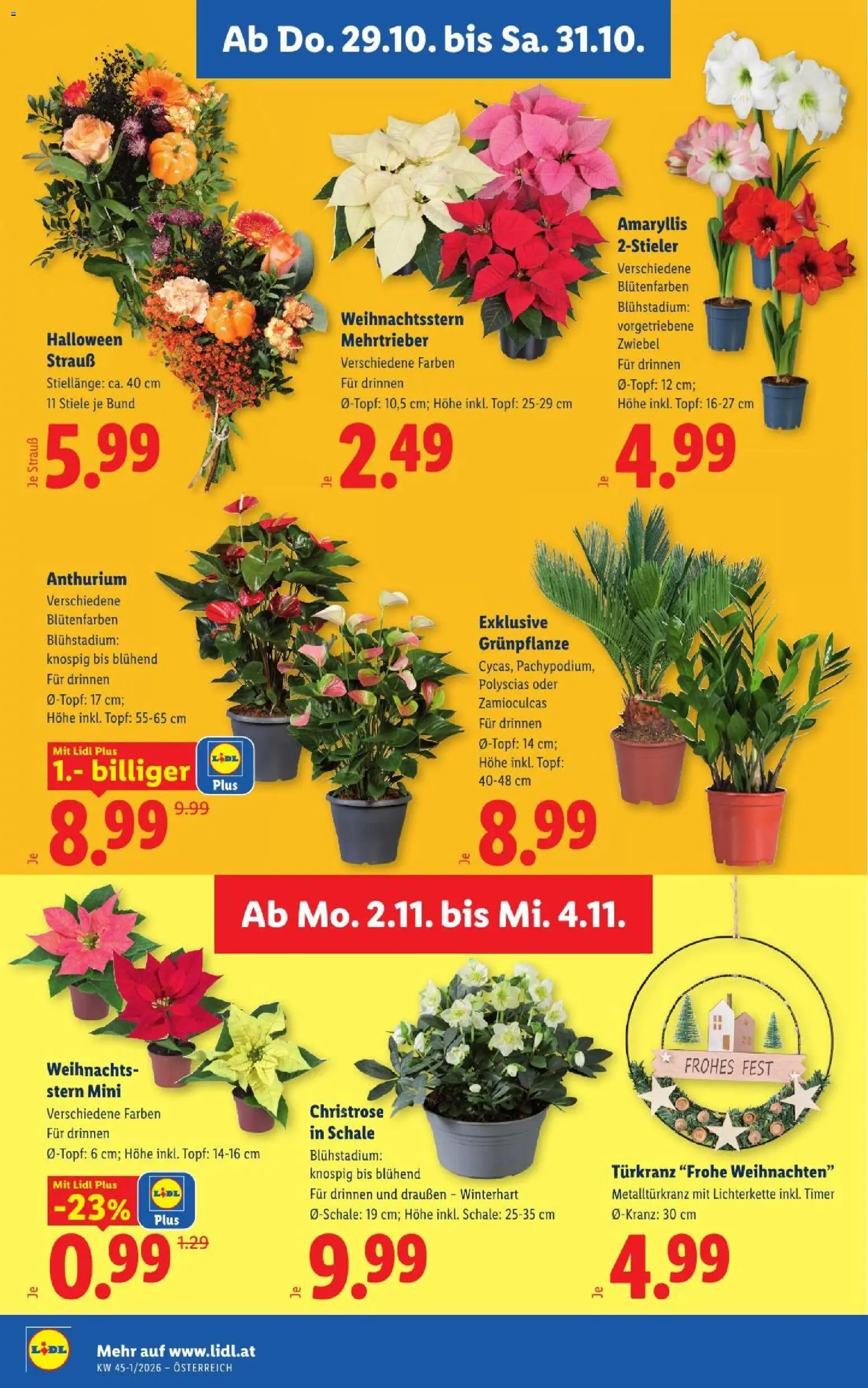 Lidl Flugblatt gültig ab 29.10.2026 | Seite: 28