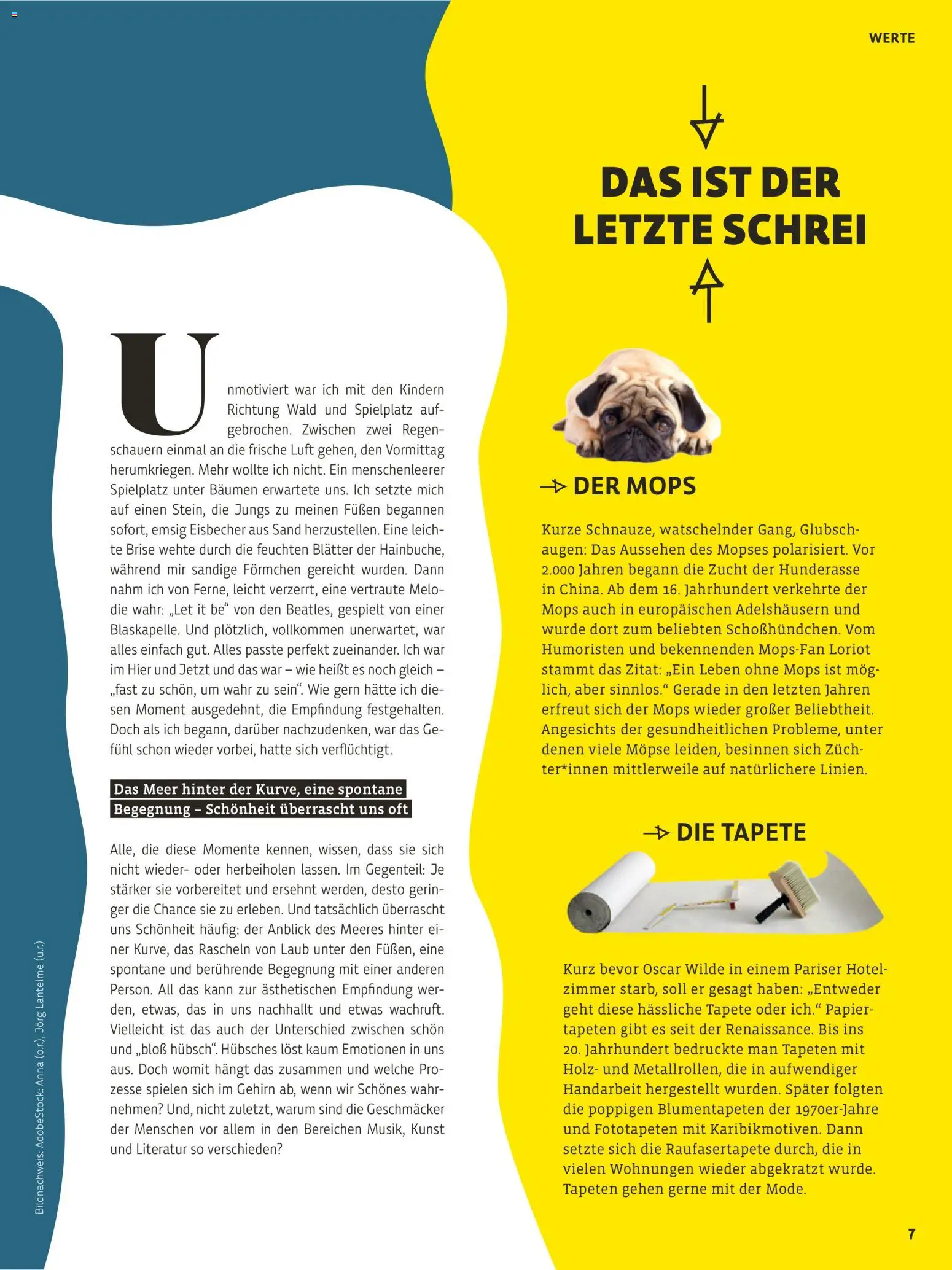 Denns BioMarkt Kreo Magazin – gültig ab 26.10.2026 | Seite: 7