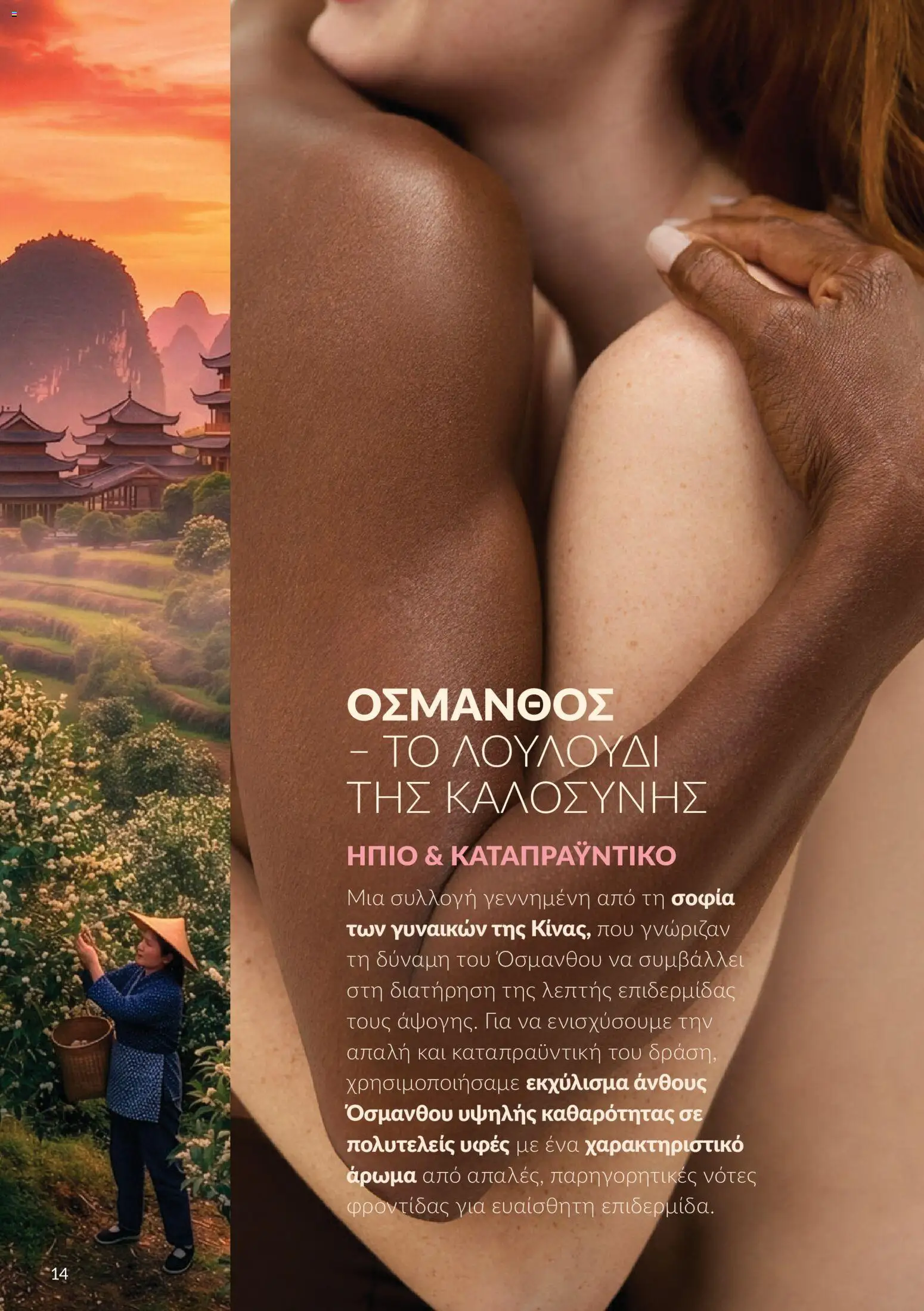 Avon Φυλλάδιο - σε ισχύ από 30/09/2026 | Σελίδα: 14 | Προϊόντα: Άρωμα