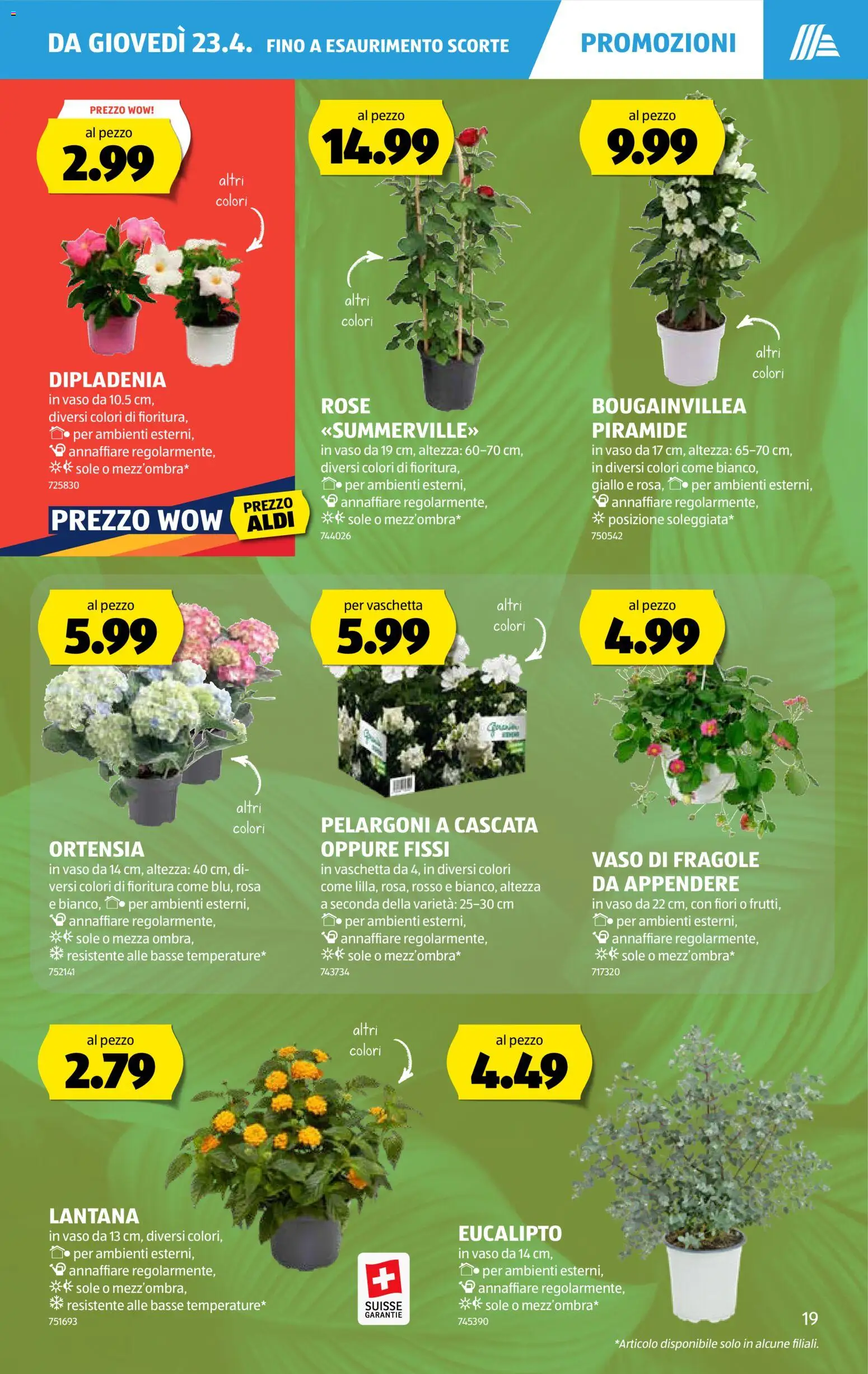 Aldi aktionen FR – gültig ab 23.04.2026 | Seite: 19