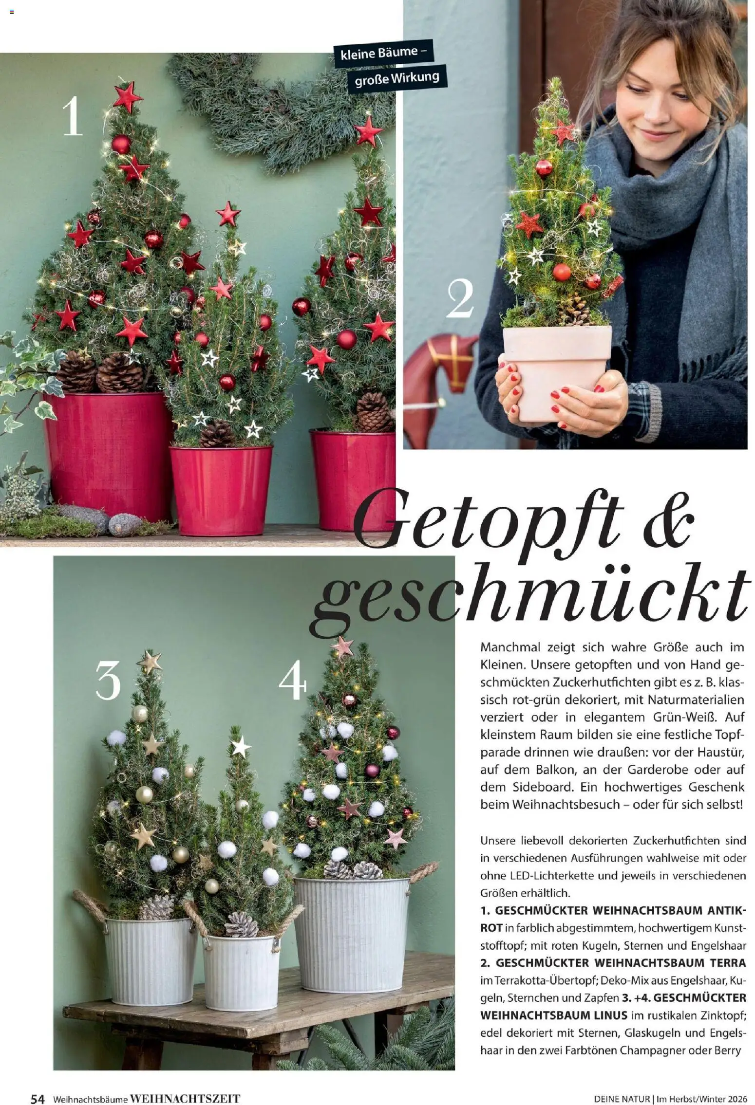 Dehner Magazine HERBST/WINTER 2026 gültig ab 09.10.2026 | Seite: 54