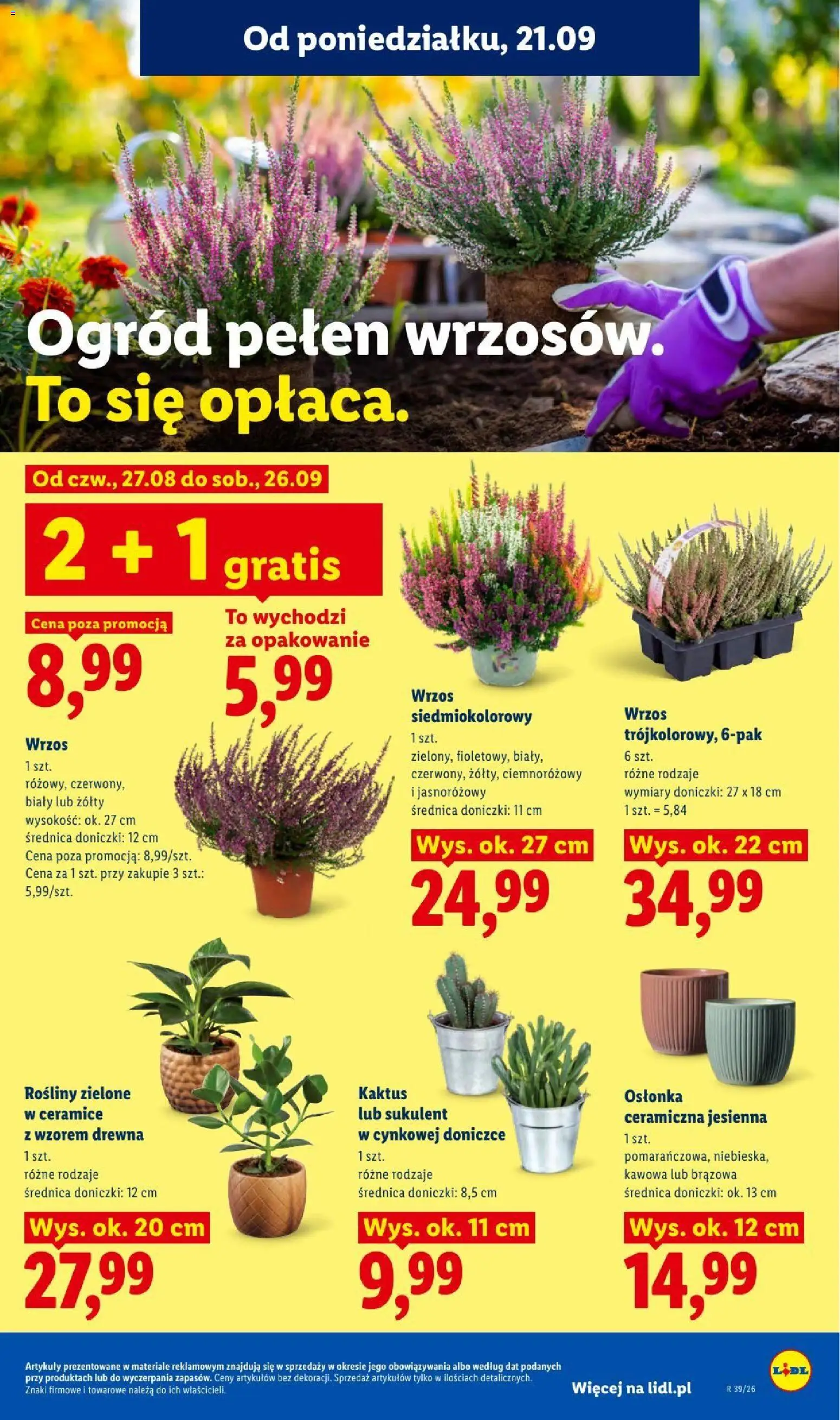 Lidl gazetka od 21.09.2026 | Strona: 91