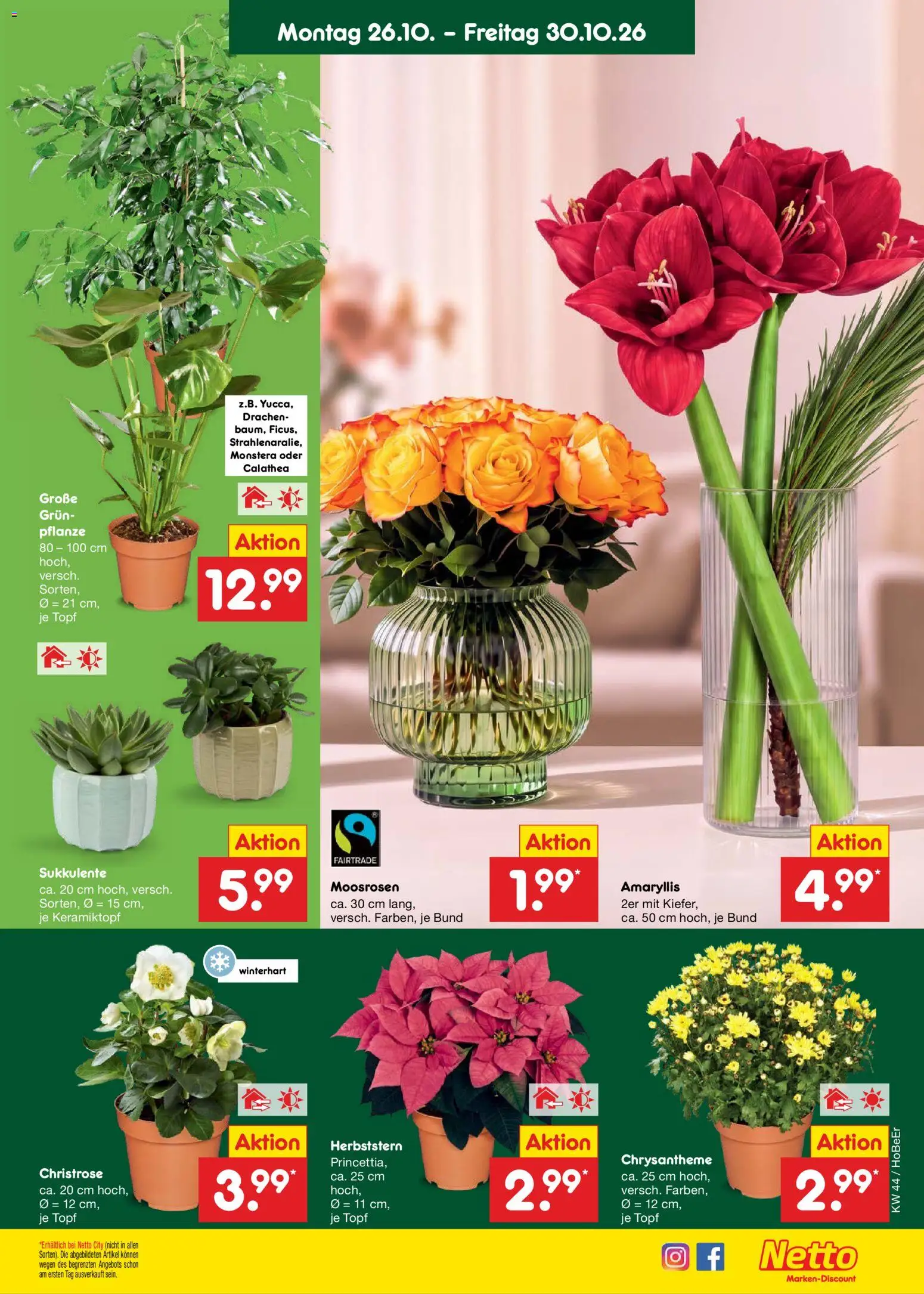 Netto Marken-Discount Prospekt – gültig ab 26.10.2026 | Seite: 11