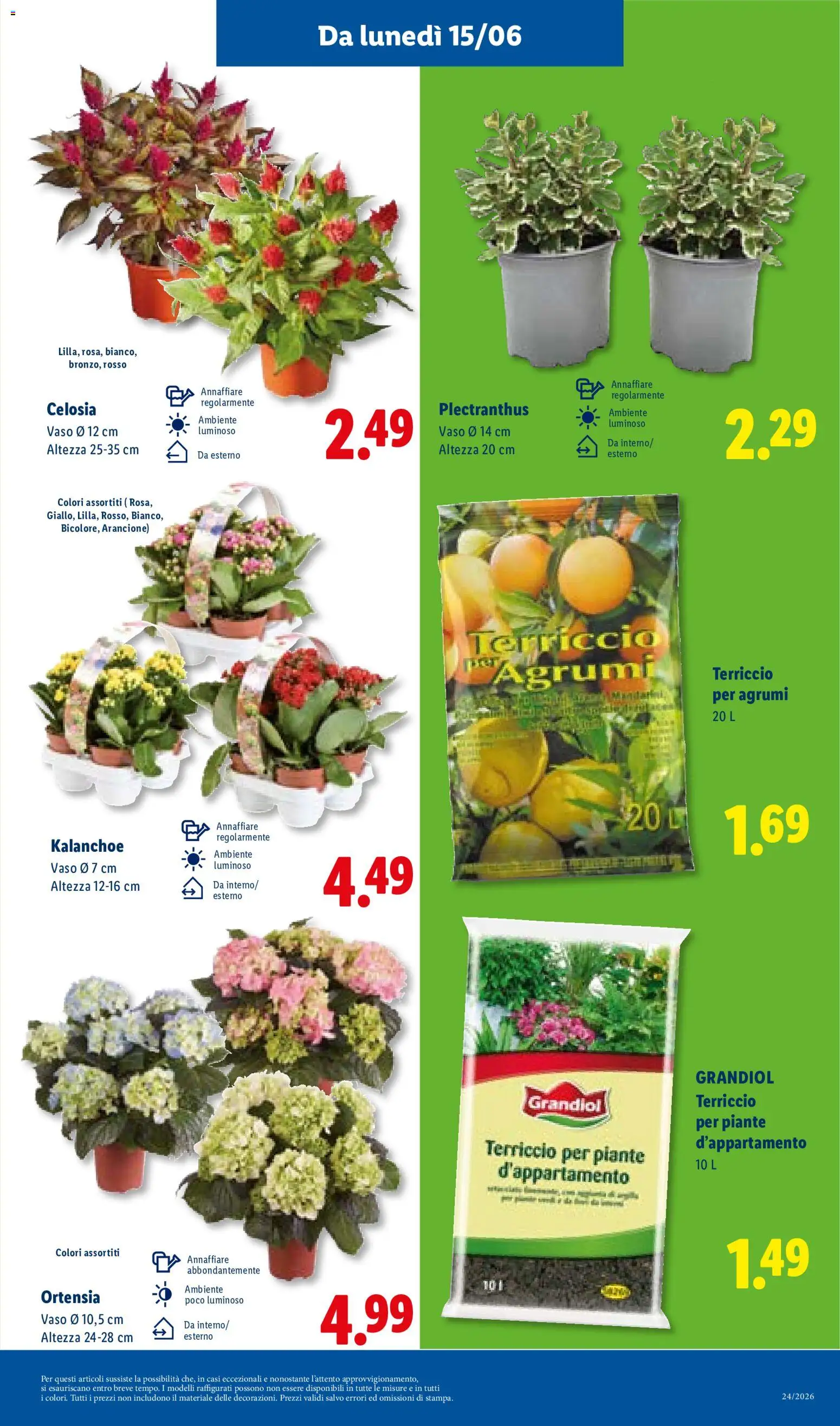 Volantino Lidl del 11.06.2026 | Pagina: 43 | Prodotti: Agrumi, Terriccio, Vaso