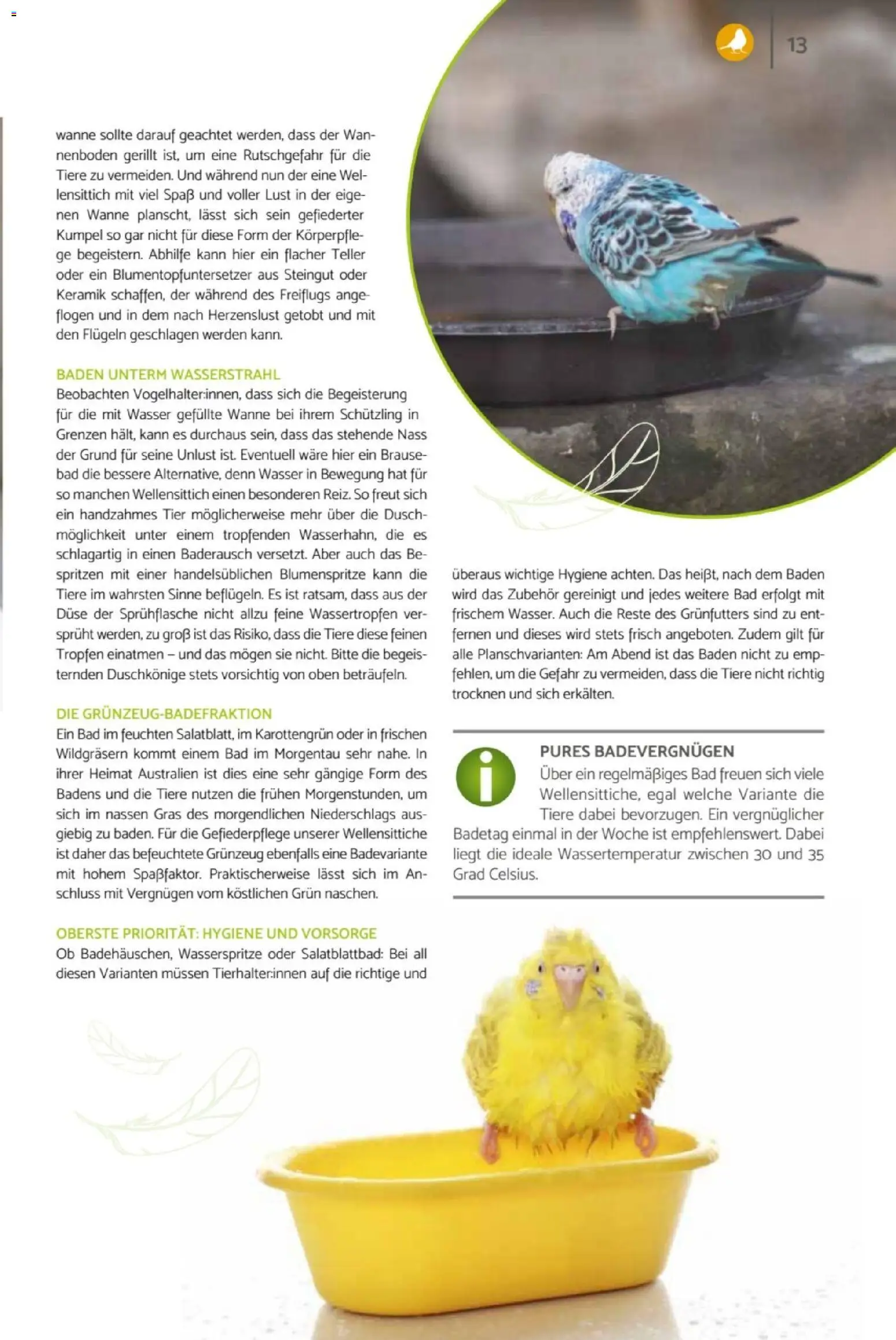 zookauf Heimtier Journal – gültig ab 01.07.2026 | Seite: 13 | Produkte: Bad, Wasser
