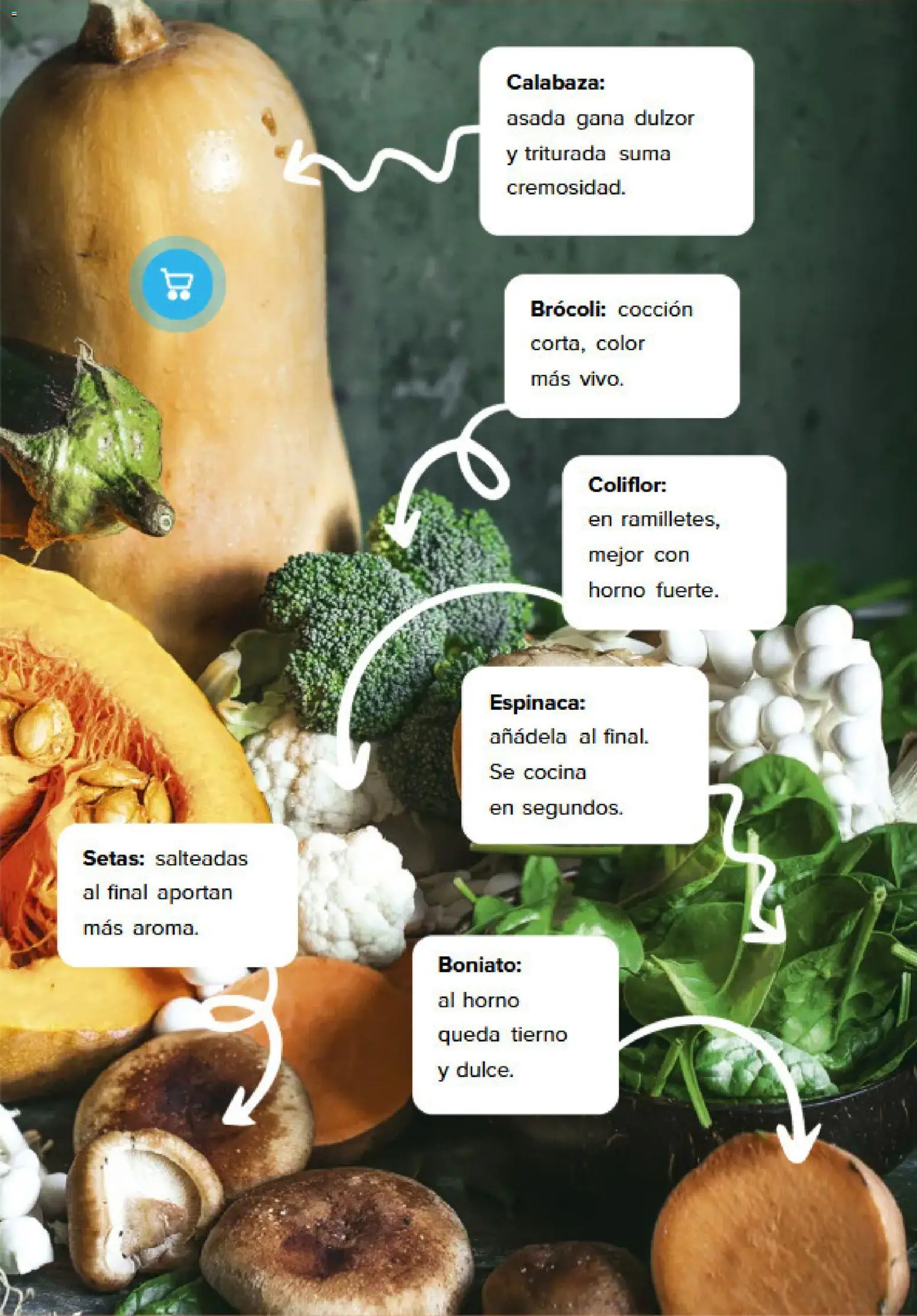 Caprabo Revista │ válido desde el 01/10/2026 | Página: 12 | Productos: Calabaza, Boniato, Horno, Brócoli