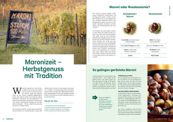 Lagerhaus Fürs Leben am Land Herbst 2026 ab 01.08.2026 gültig | Seite: 13 | Produkte: Wasser, Hülle, Ofen, Duft