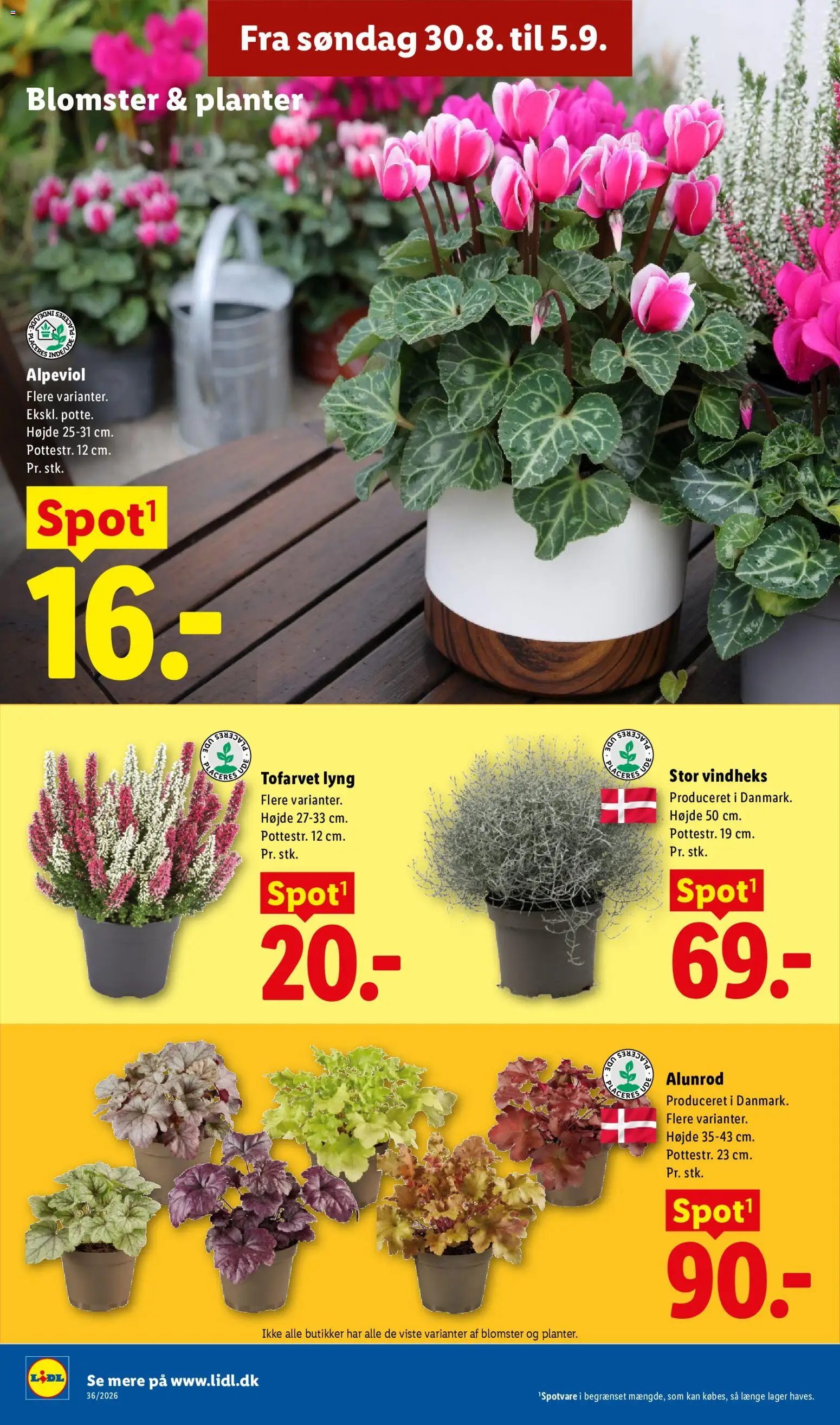 Lidl tilbudsavis – gyldig fra 30/08/2026 | Side: 32 | Produkter: Søm