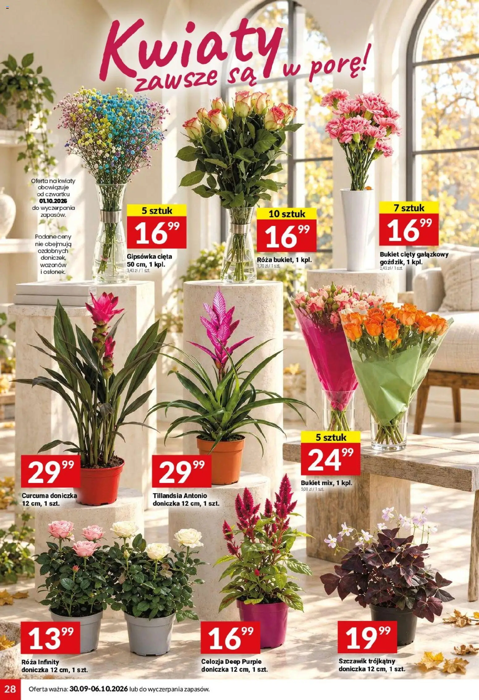 Twój Market gazetka od 30.09.2026 | Strona: 28 | Produkty: Doniczka, Kwiaty