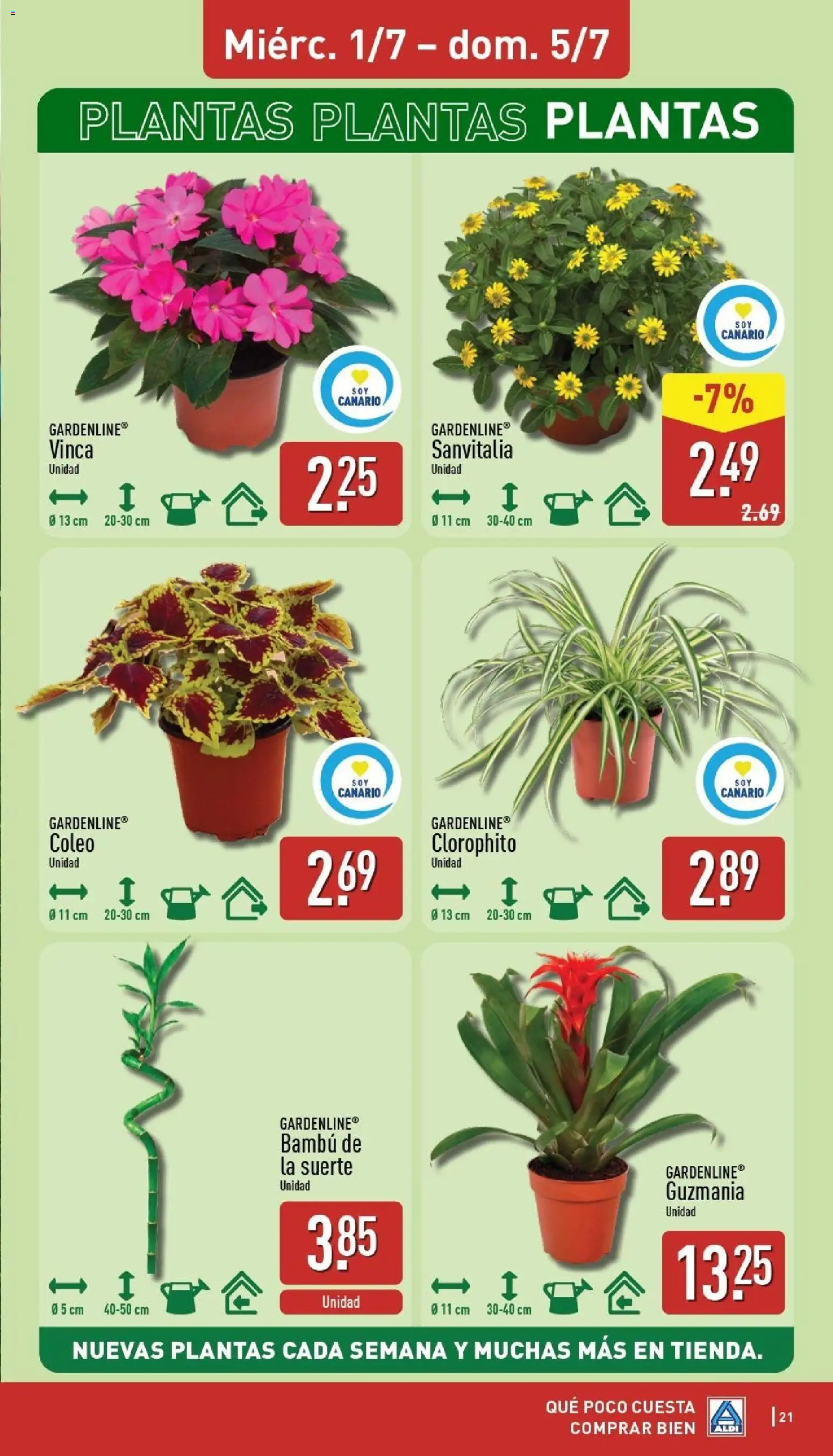 Aldi folleto Canarias │ válido desde el 29/06/2026 | Página: 21