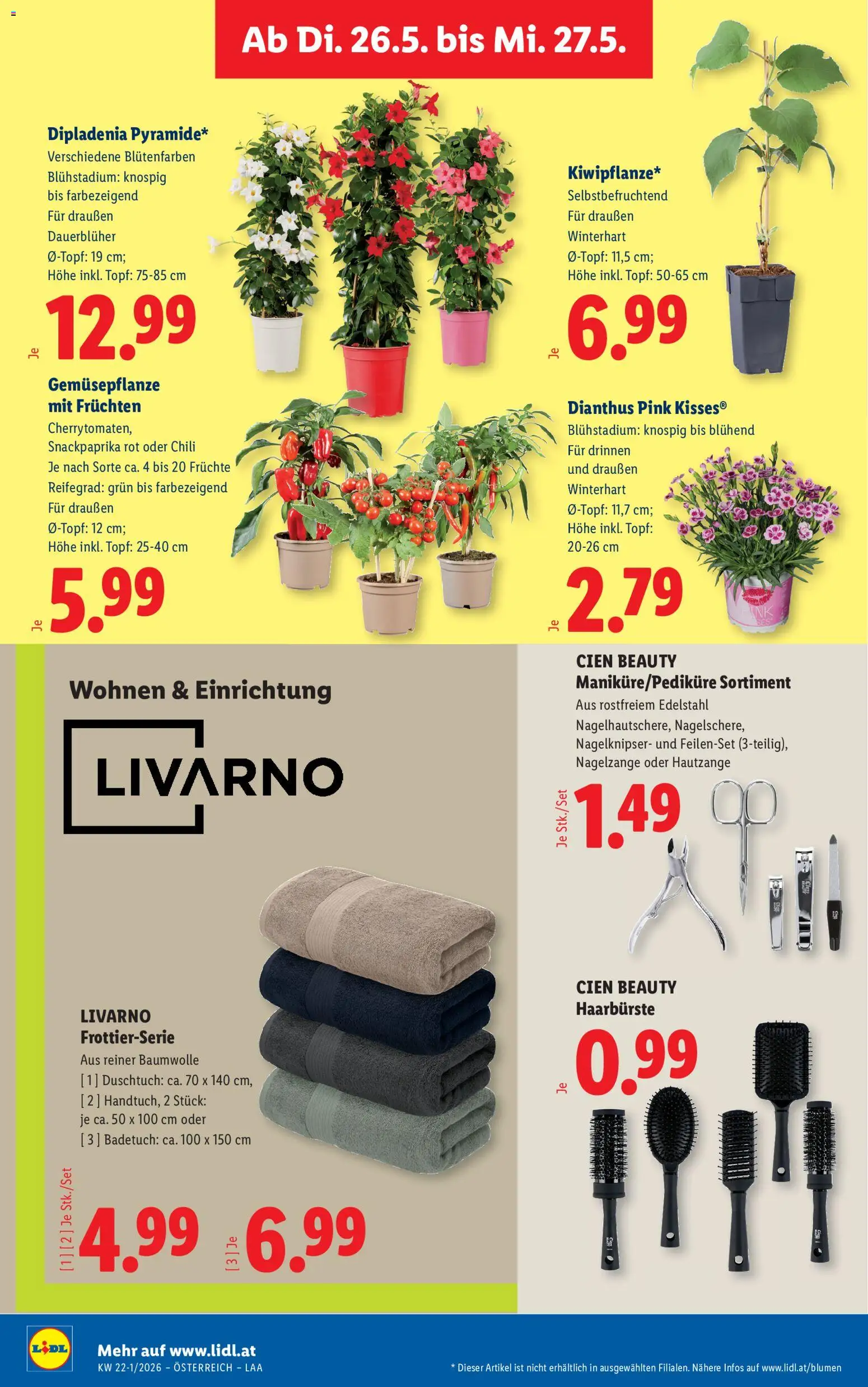 Lidl Flugblatt - Altenmarkt im Pongau, St. Johann im Pongau, Zell am See gültig ab 21.05.2026 | Seite: 29 | Produkte: Chili
