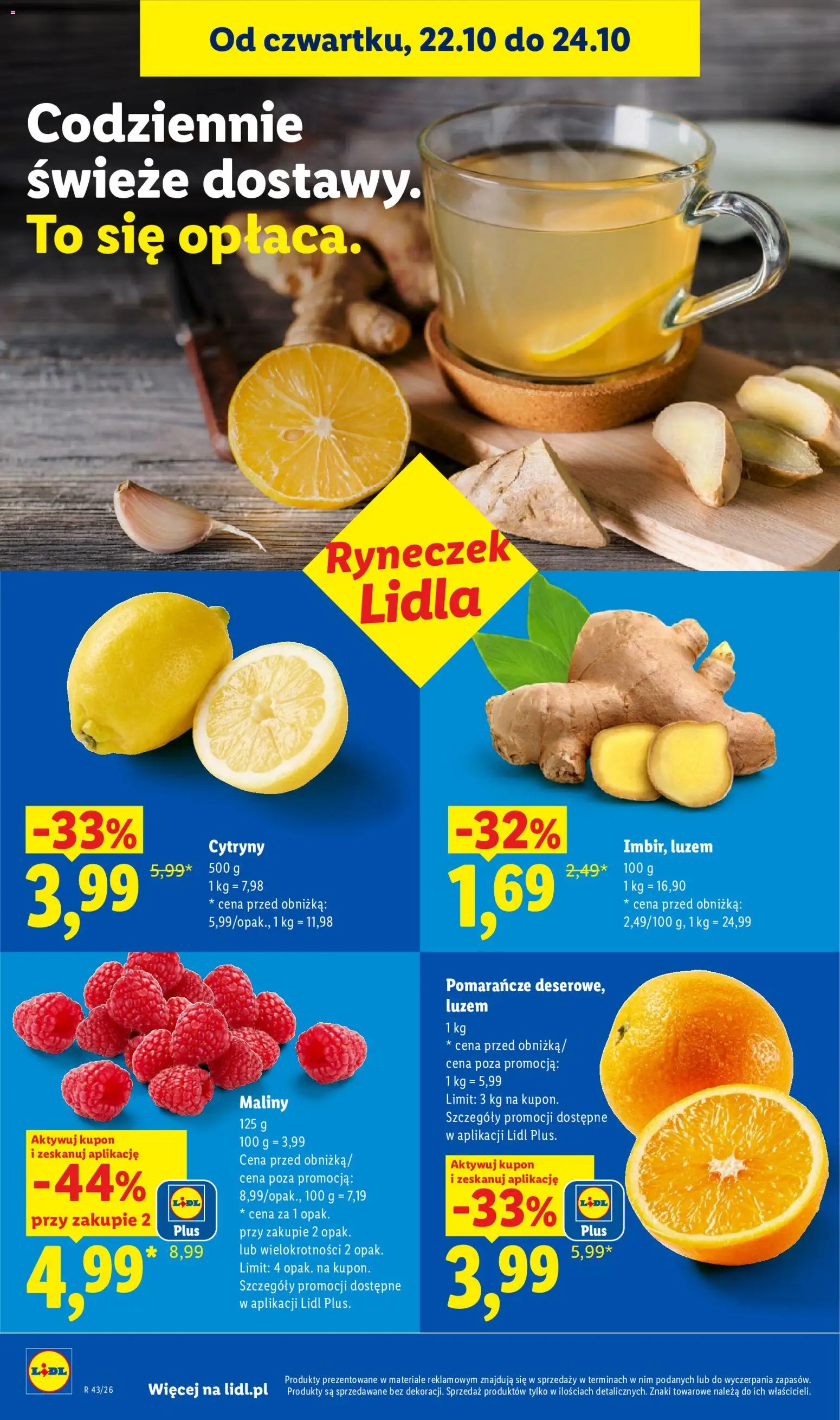 Lidl Polsko katalog od 22.10.2026 | Strana: 46