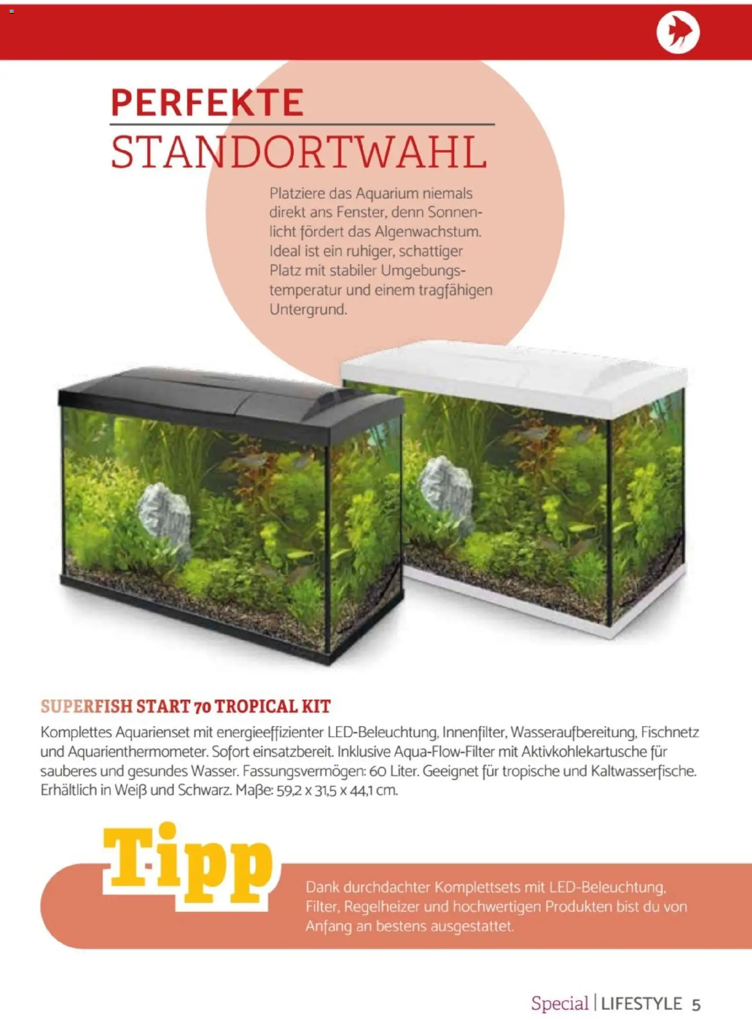 zookauf Heimtier Journal Special – gültig ab 01.10.2026 | Seite: 5