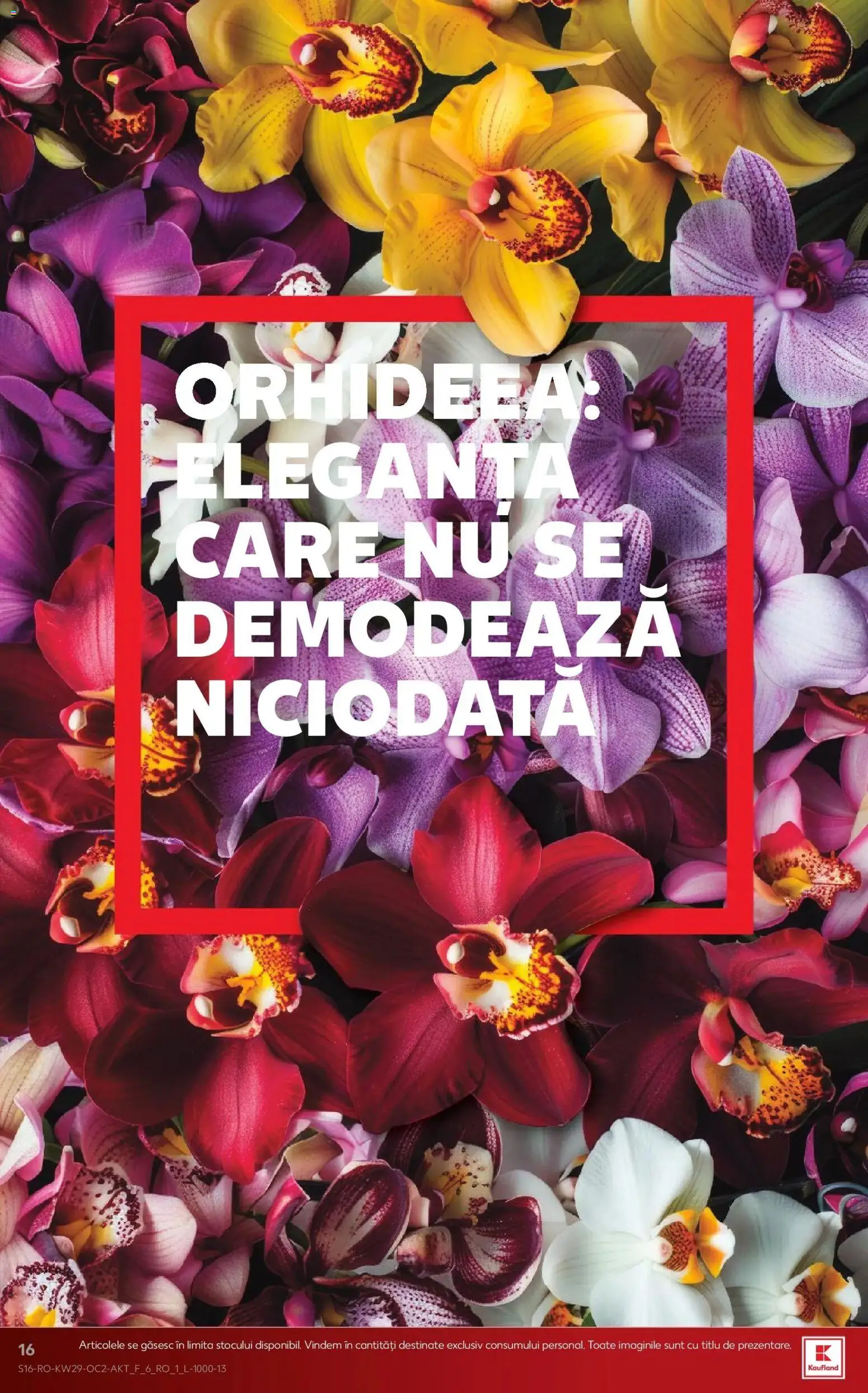 Noul catalog Kaufland – valabil de la 15.07.2026 | Pagină: 16