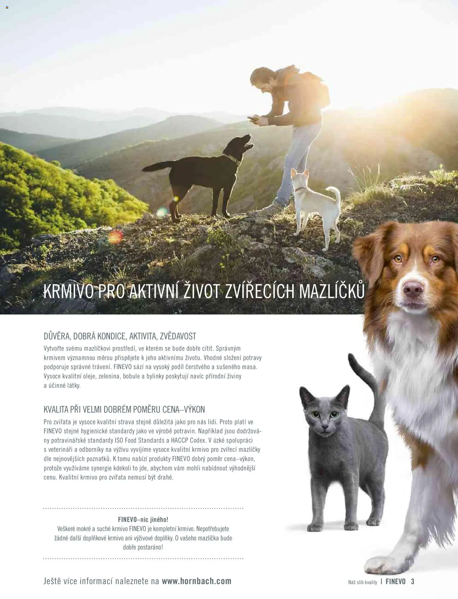 HORNBACH leták - Finevo od 01.01.2026 | Strana: 3 | Produkty: Bylinky