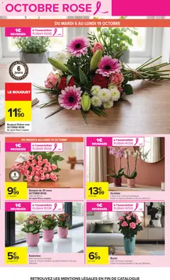 Carrefour - Prévisualisation de Orchidée, 2 tiges avec cache pot céramique., Existe en d'autres modèles à des prix différents. valide à partir de 06/10/2026 | Page: 5