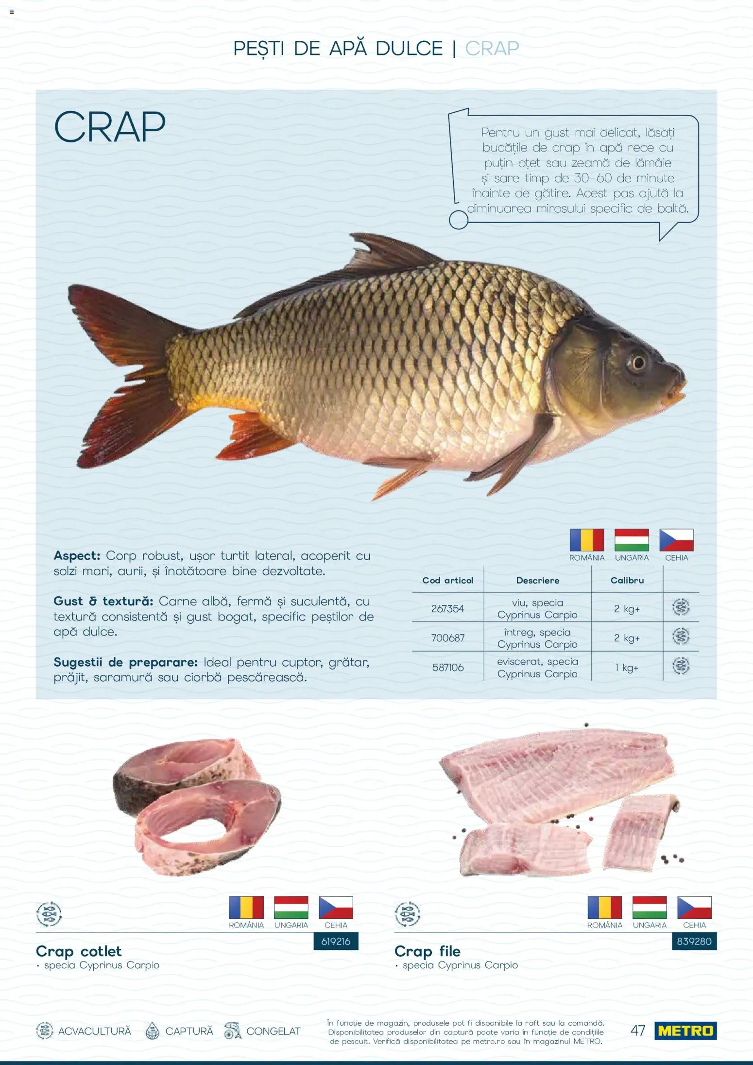 Noul catalog Metro – valabil de la 01.10.2026 | Pagină: 47 | Produse: Ciorba, Cotlet, Apă, Lămâie