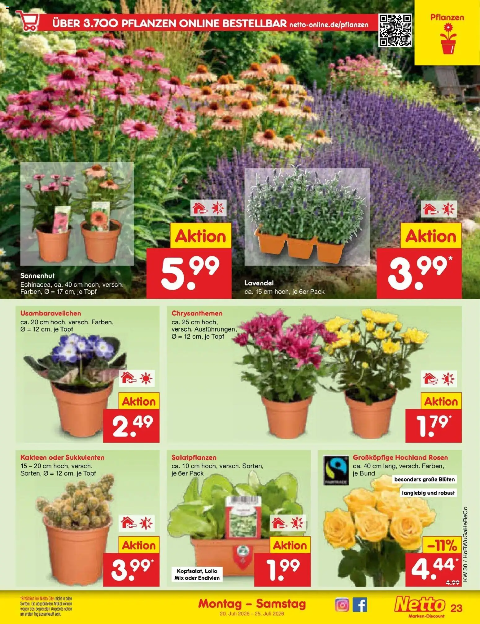 Netto Marken-Discount Prospekt Hamburg – gültig ab 20.07.2026 | Seite: 39 | Produkte: Lavendel