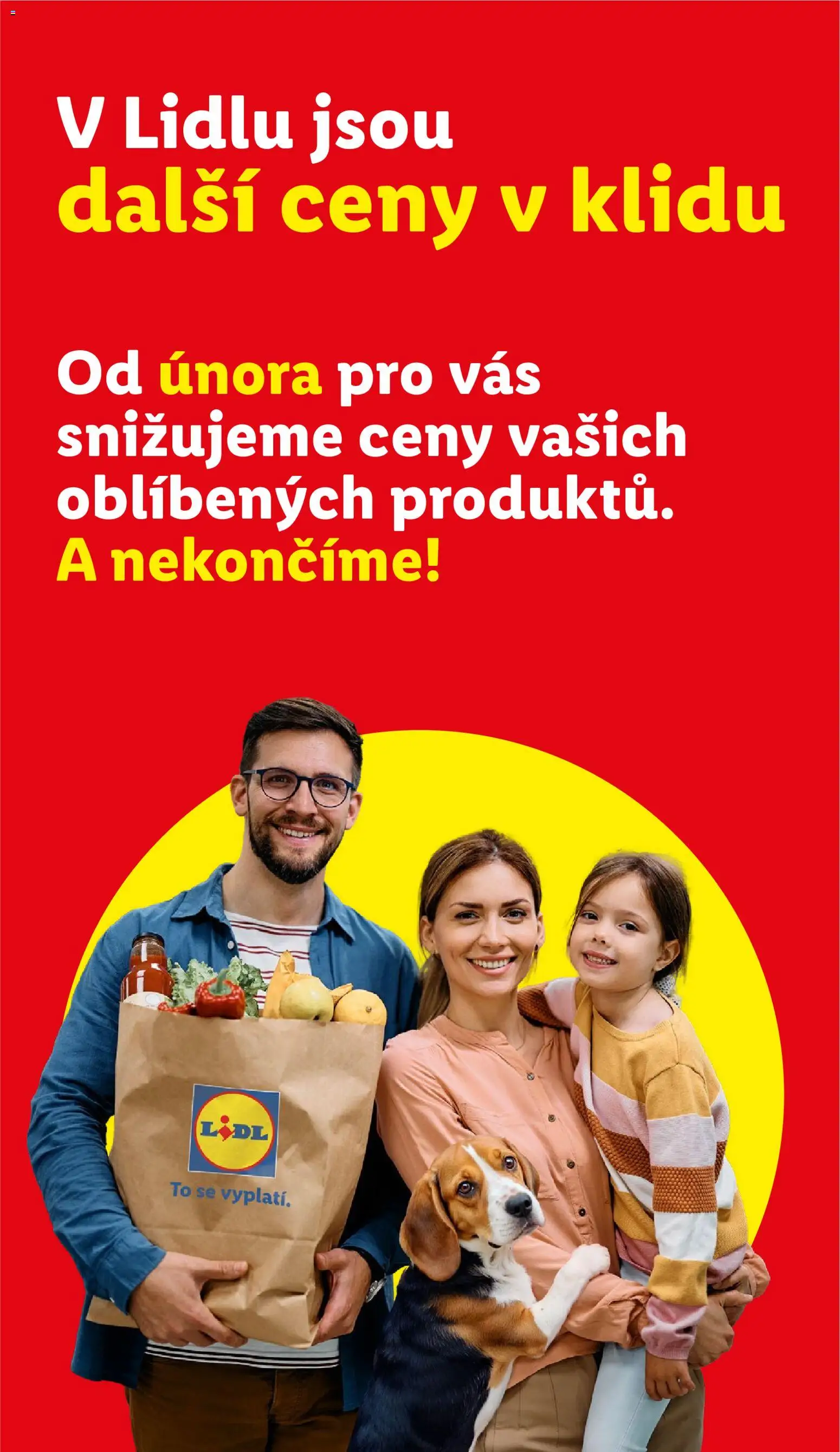 Lidl leták od 11.06.2026 | Strana: 3