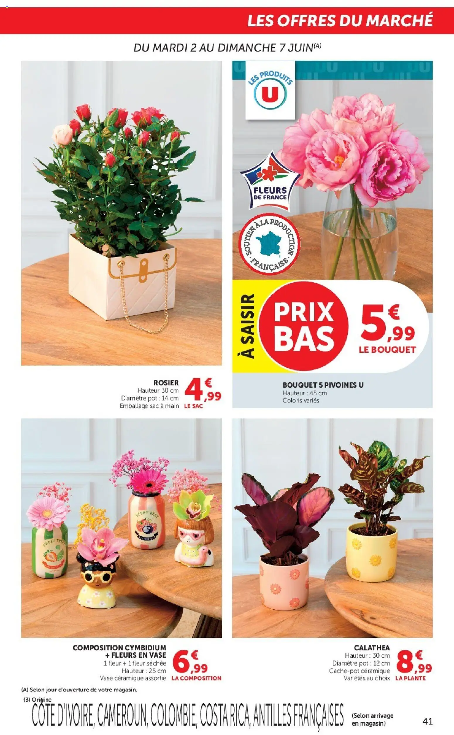 {H1} | Page: 41 | Produits: Rosier, Sac, Vase, Sac à main