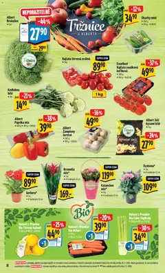 Náhled letáku Albert leták - Hypermarket od 06.05.2026 | Strana: 14