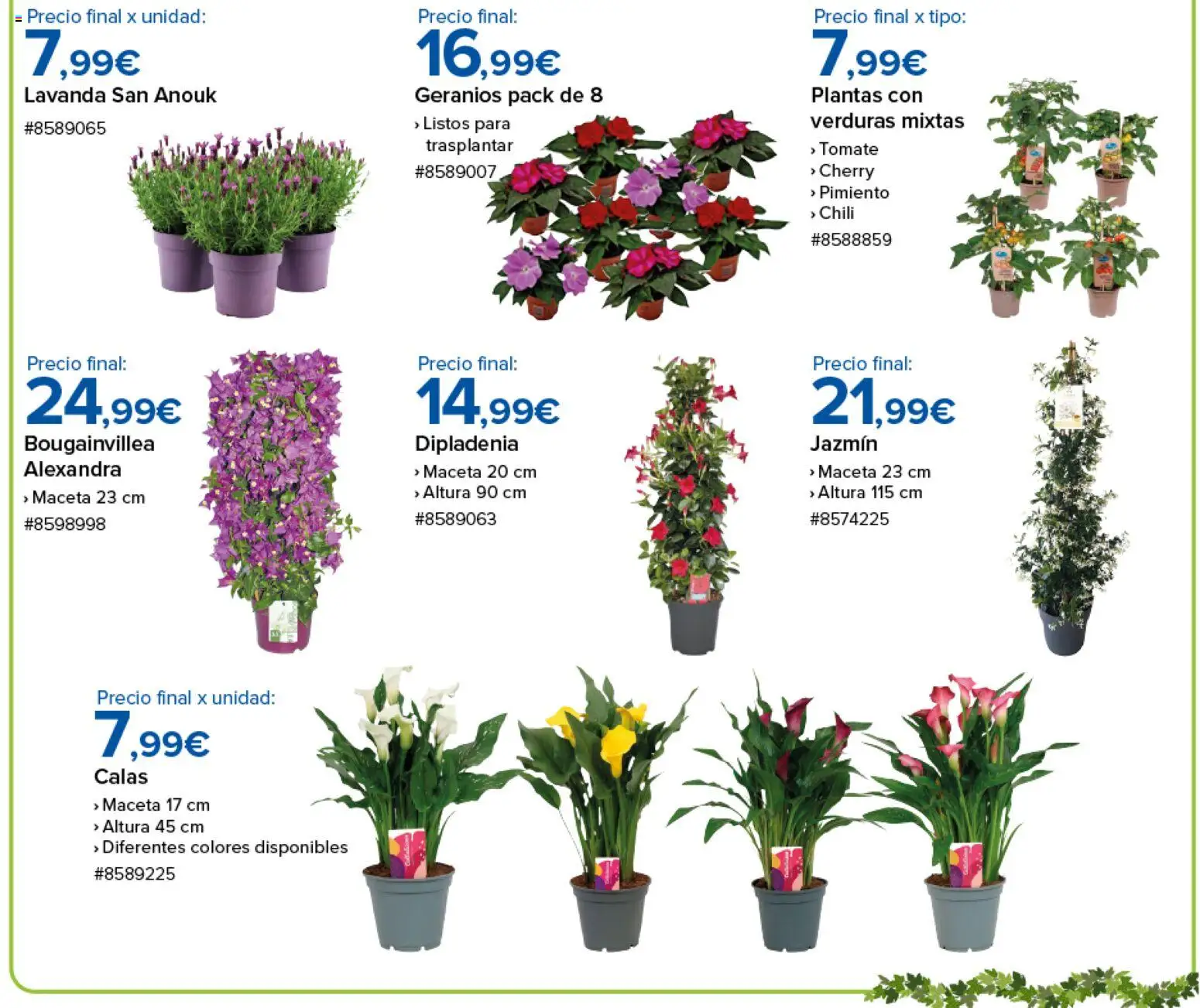 Costco catálogo │ válido desde el 10.04.2026 | Página: 6 | Productos: Κάδος απορρυμάτων, Poêle à pétrole, Maceta