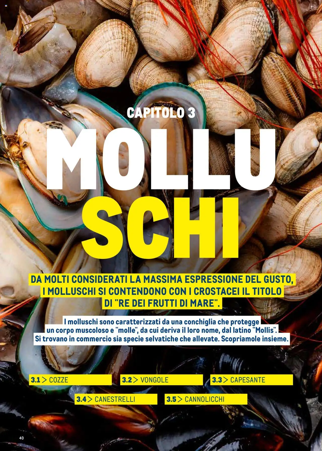 Volantino Metro del 30.06.2025 | Pagina: 40 | Prodotti: Cozze, Vongole, Canestrelli