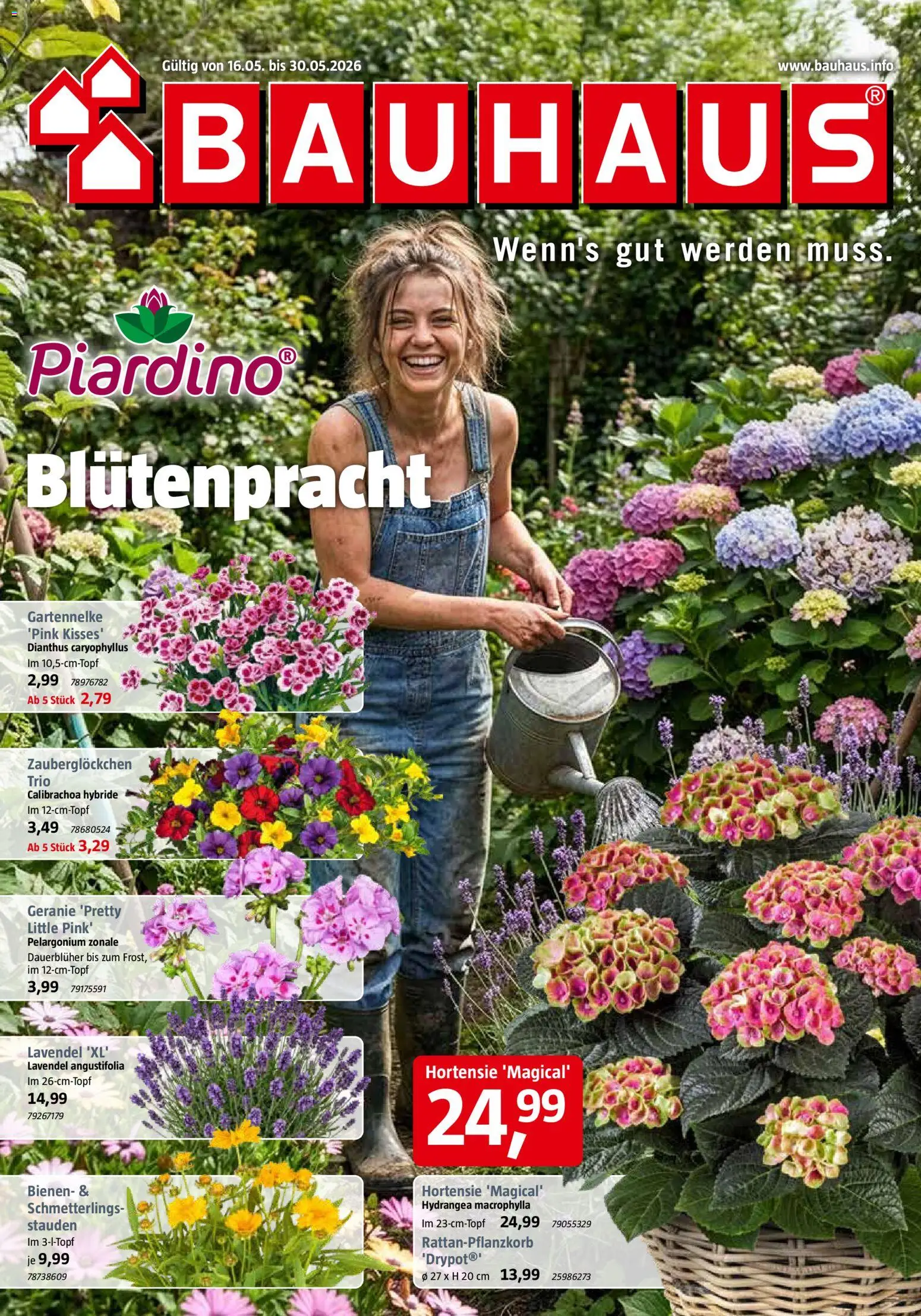 Bauhaus Prospekt 	 – gültig ab 16.05.2026 | Seite: 1 | Produkte: Hortensie, Lavendel